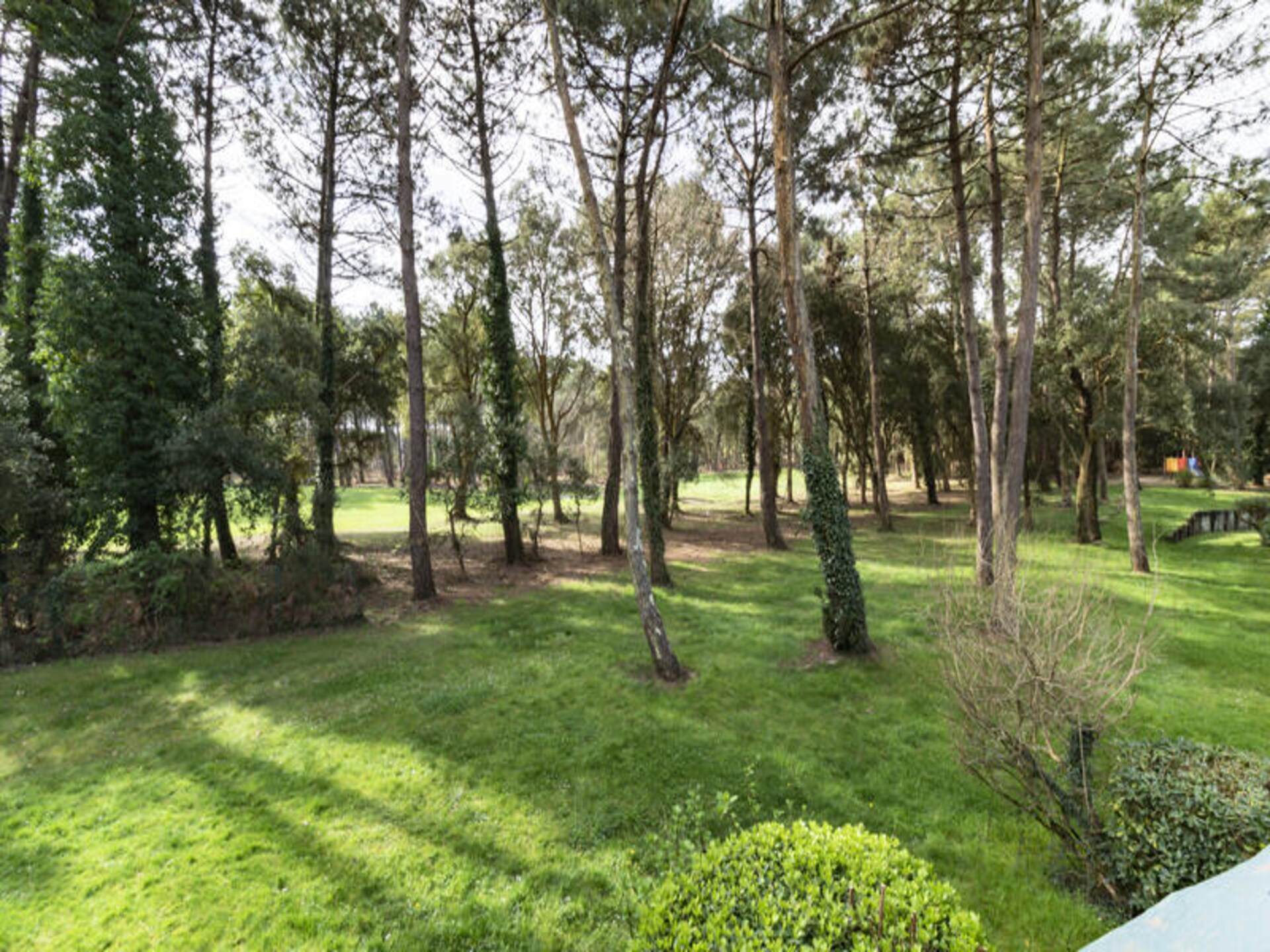 Appartement aan de golfbaan met zwembad, vlakbij zee en meer in Soustons - foto 26