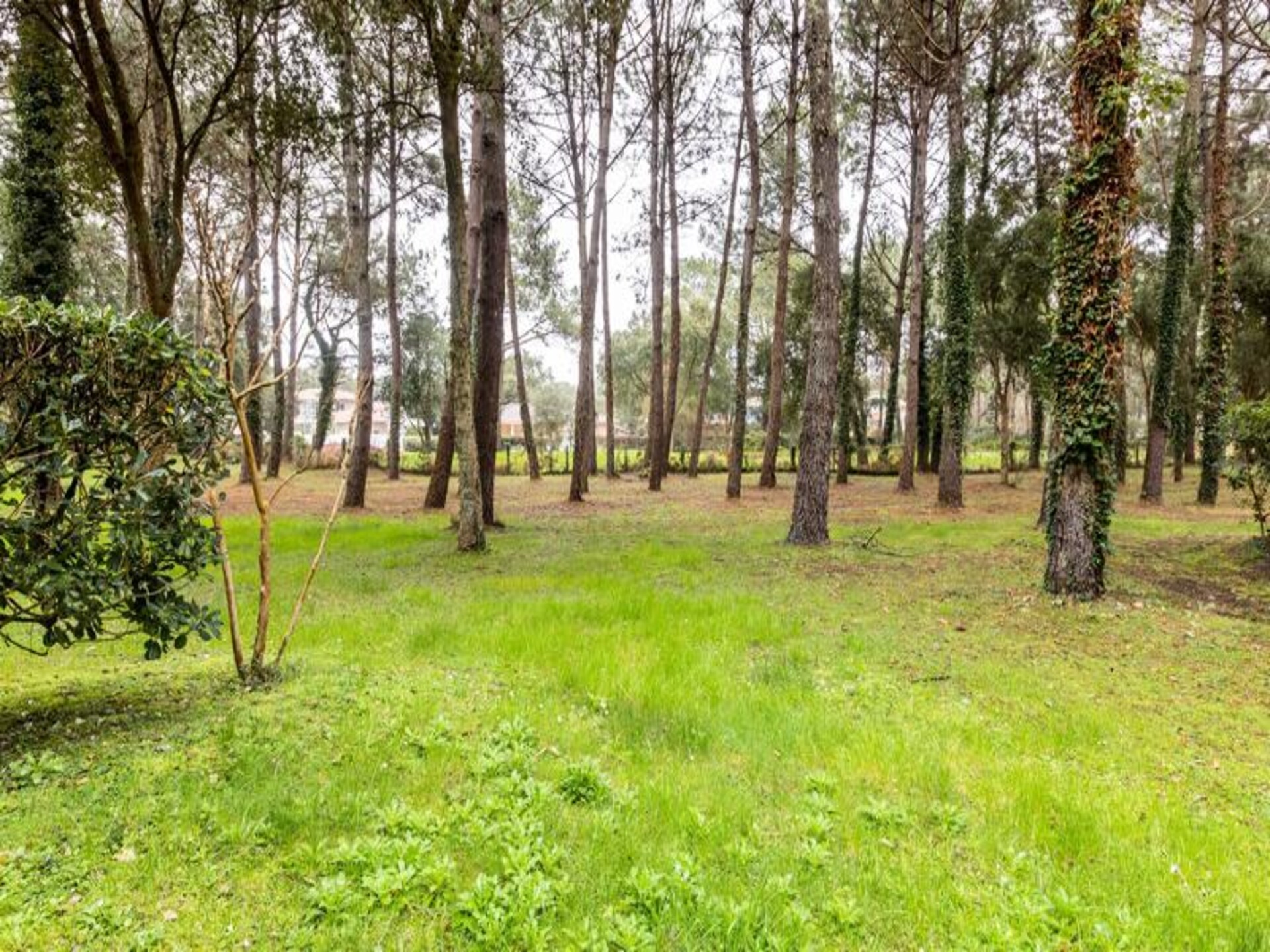 Appartement aan de Golfbaan met Tuin en Gedeeld Verwarmd Zwembad in Soustons - foto 30