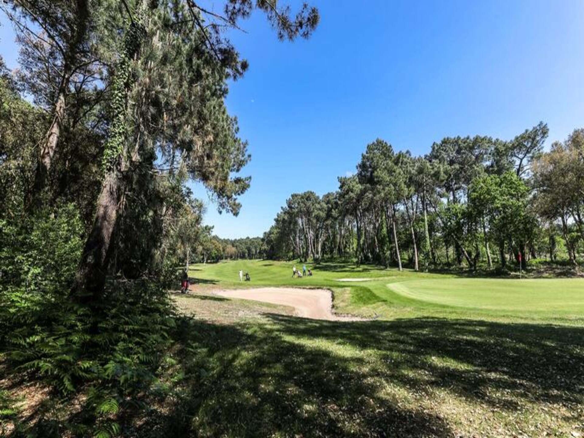 Golfvakantie voor 6 in bosrijke residentie met zwembad bij Soustons - foto 16