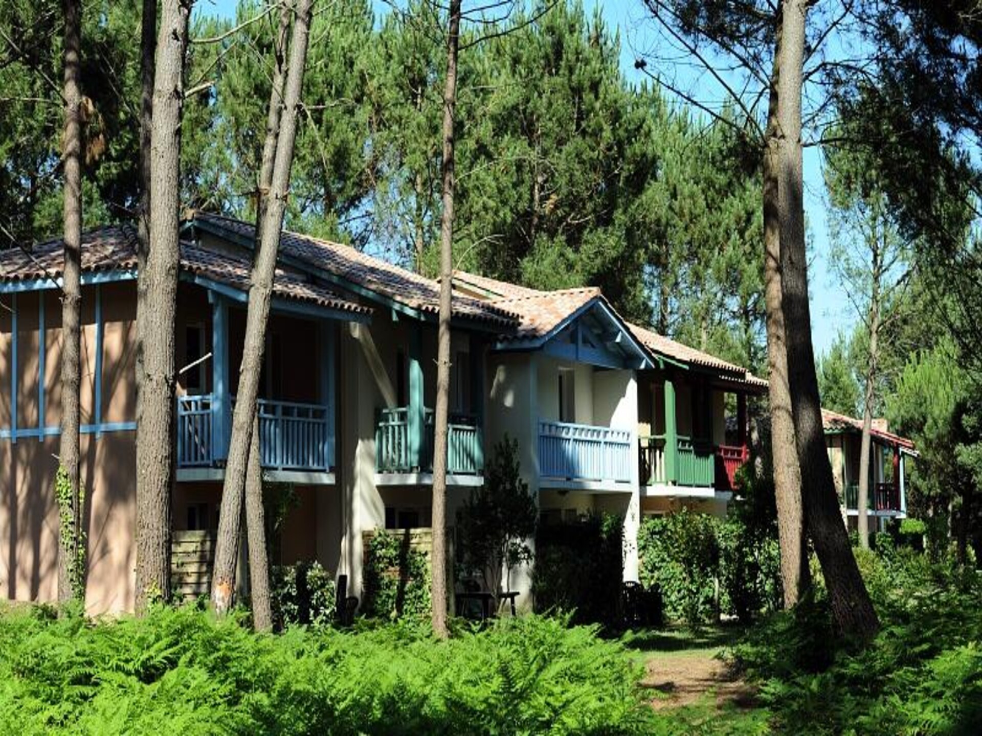Golfvilla in pijnbomenbos met terras vlakbij de oceaan - foto 2