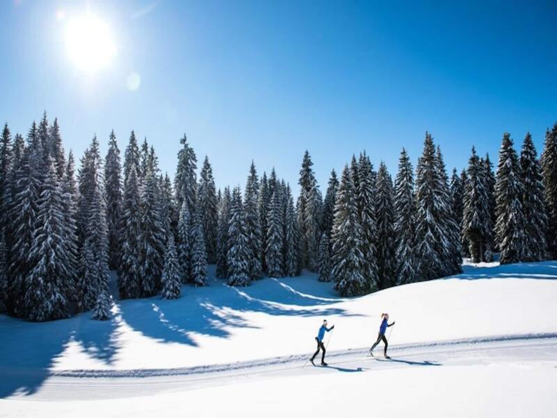 Ski-in/ski-out appartement aan de piste in Les Déserts, max. 4 personen - foto 19