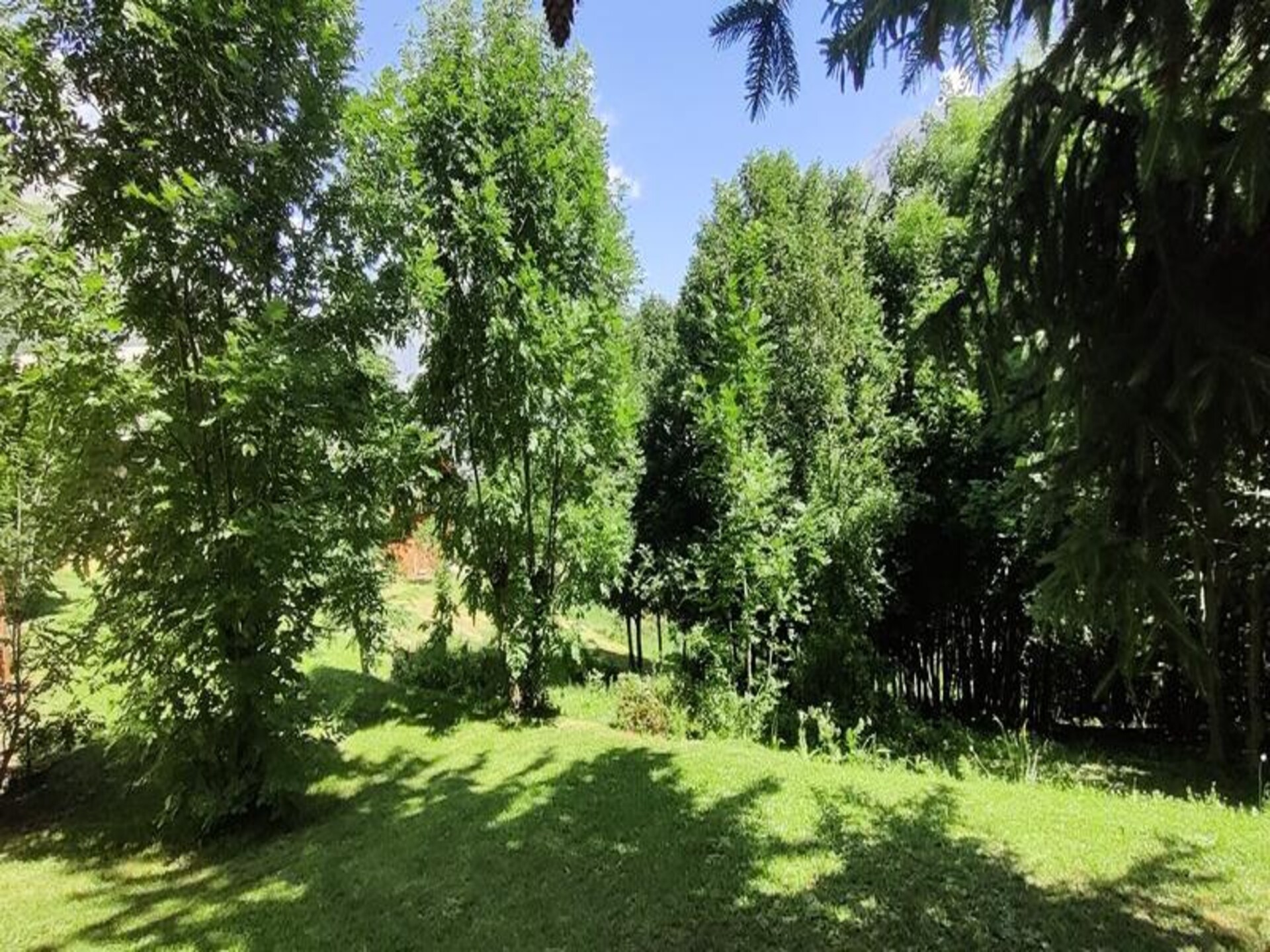 Knus appartement in PUY ST VINCENT op 1049m hoogte, vlakbij de piste - foto 7