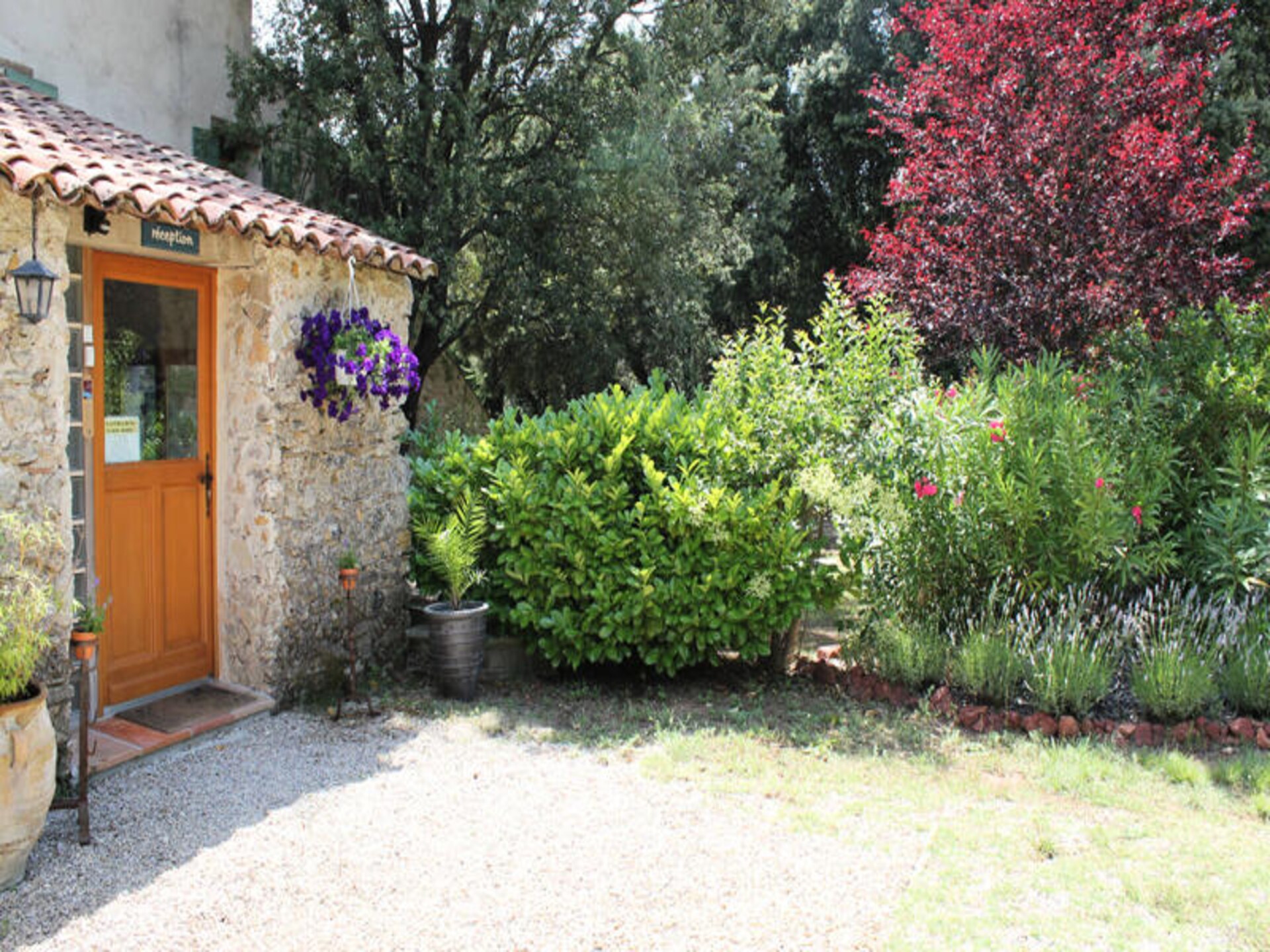 Authentiek appartement op 6 ha domein met zwembad in Flayosc, Provence - foto 15