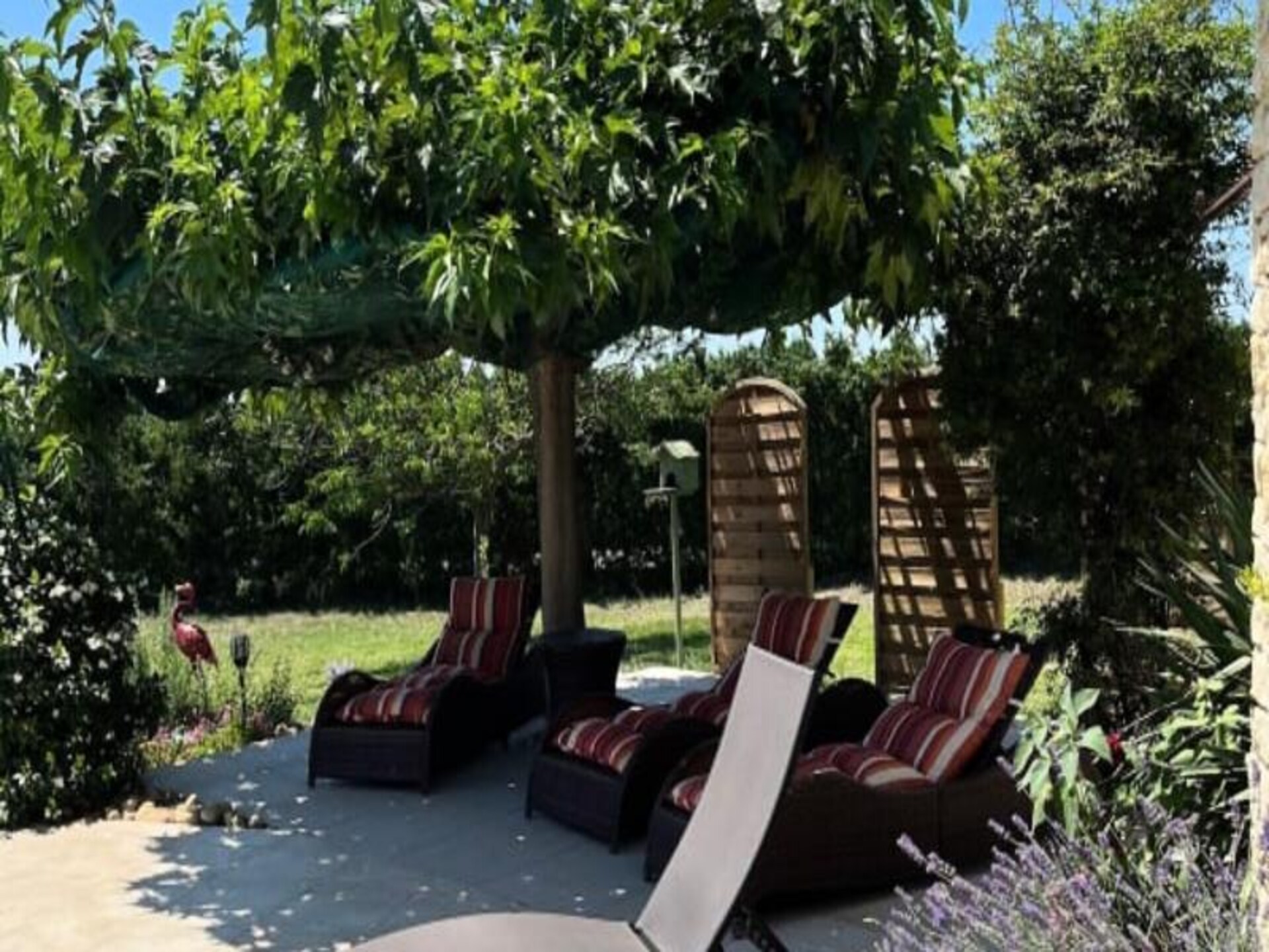 Mas d'Elise: Ruime villa met privézwembad in het hart van de Luberon - foto 34