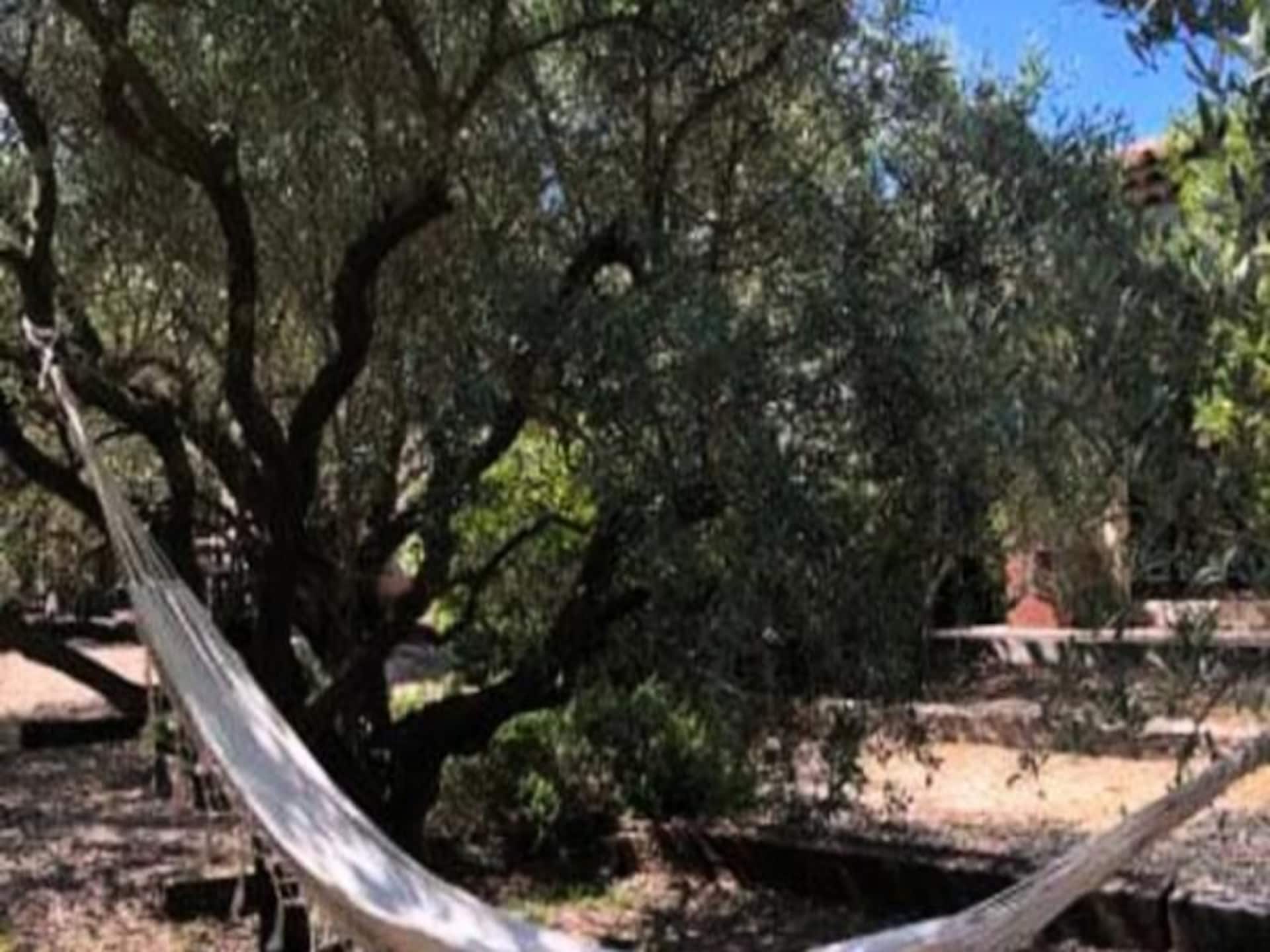 Architectenhuis Lauris: 4 suites, verwarmd zwembad, nabij Lourmarin - foto 47