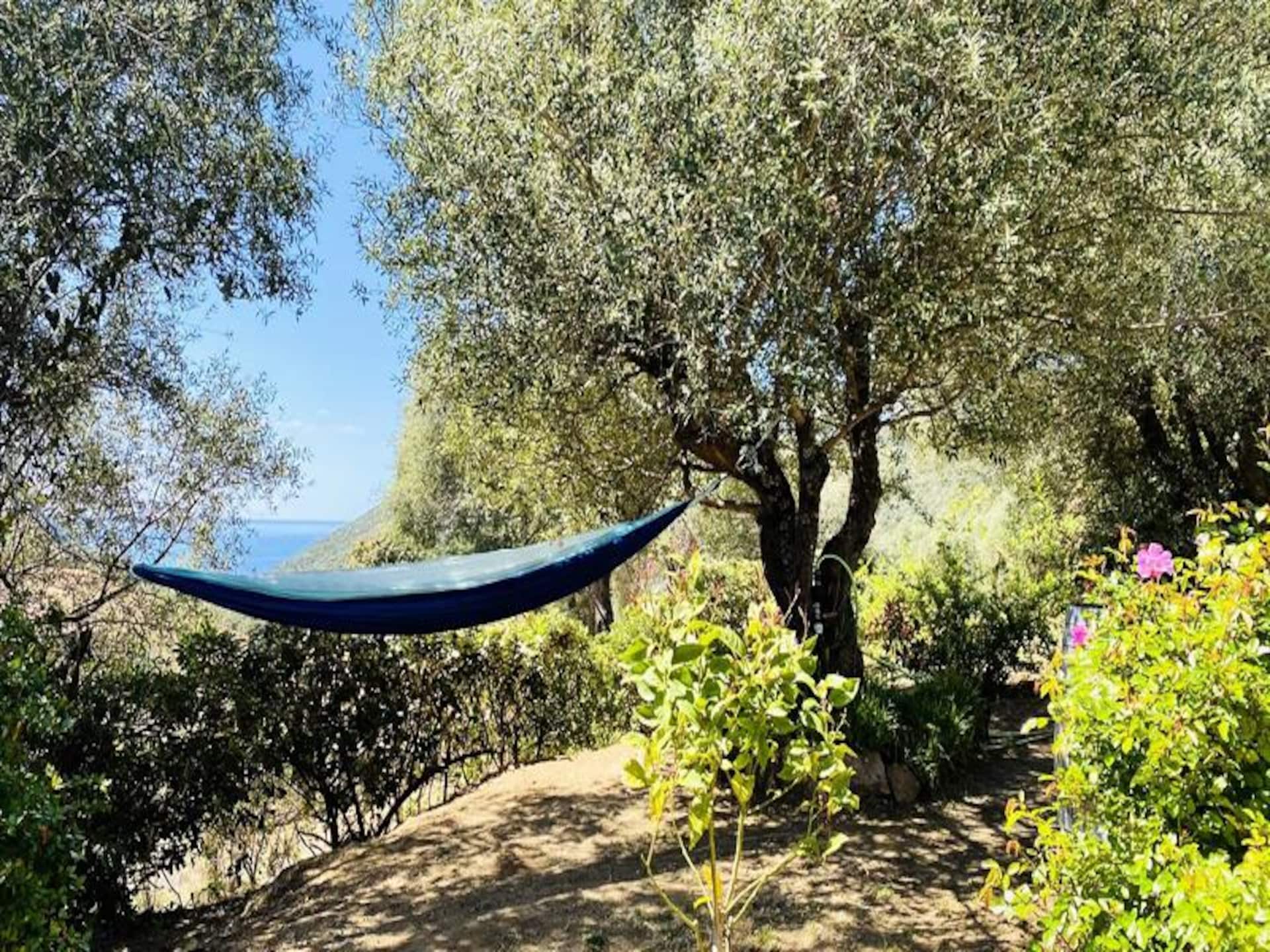 Ruim vakantiehuis met privézwembad en zeezicht in Olmeto, 8 personen - foto 18
