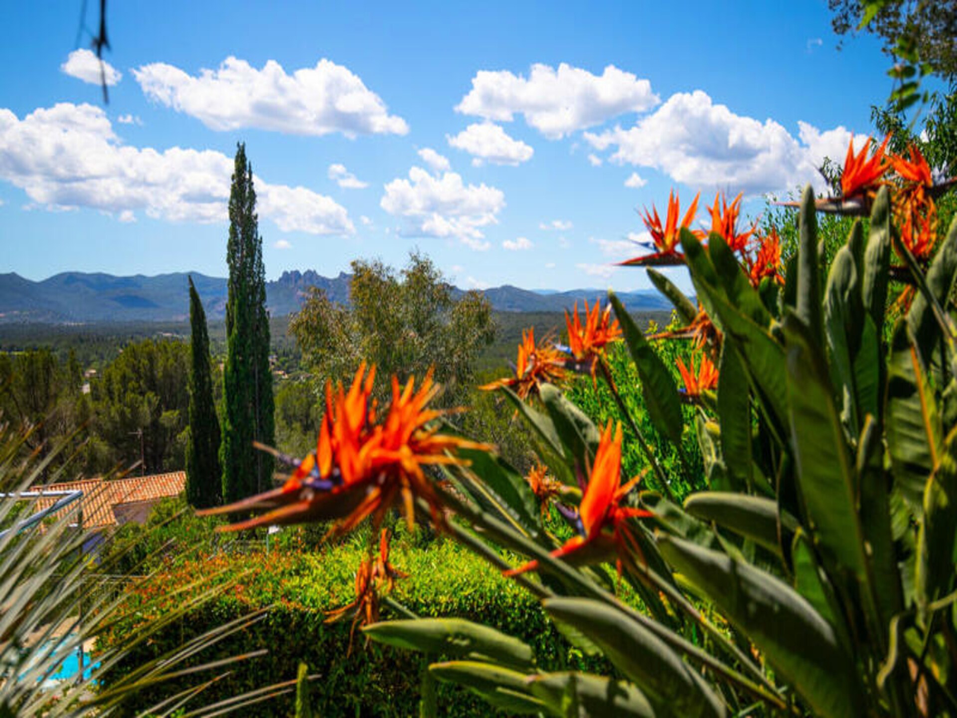Villa met privézwembad voor 10 personen op 20 minuten van Saint-Tropez - foto 44
