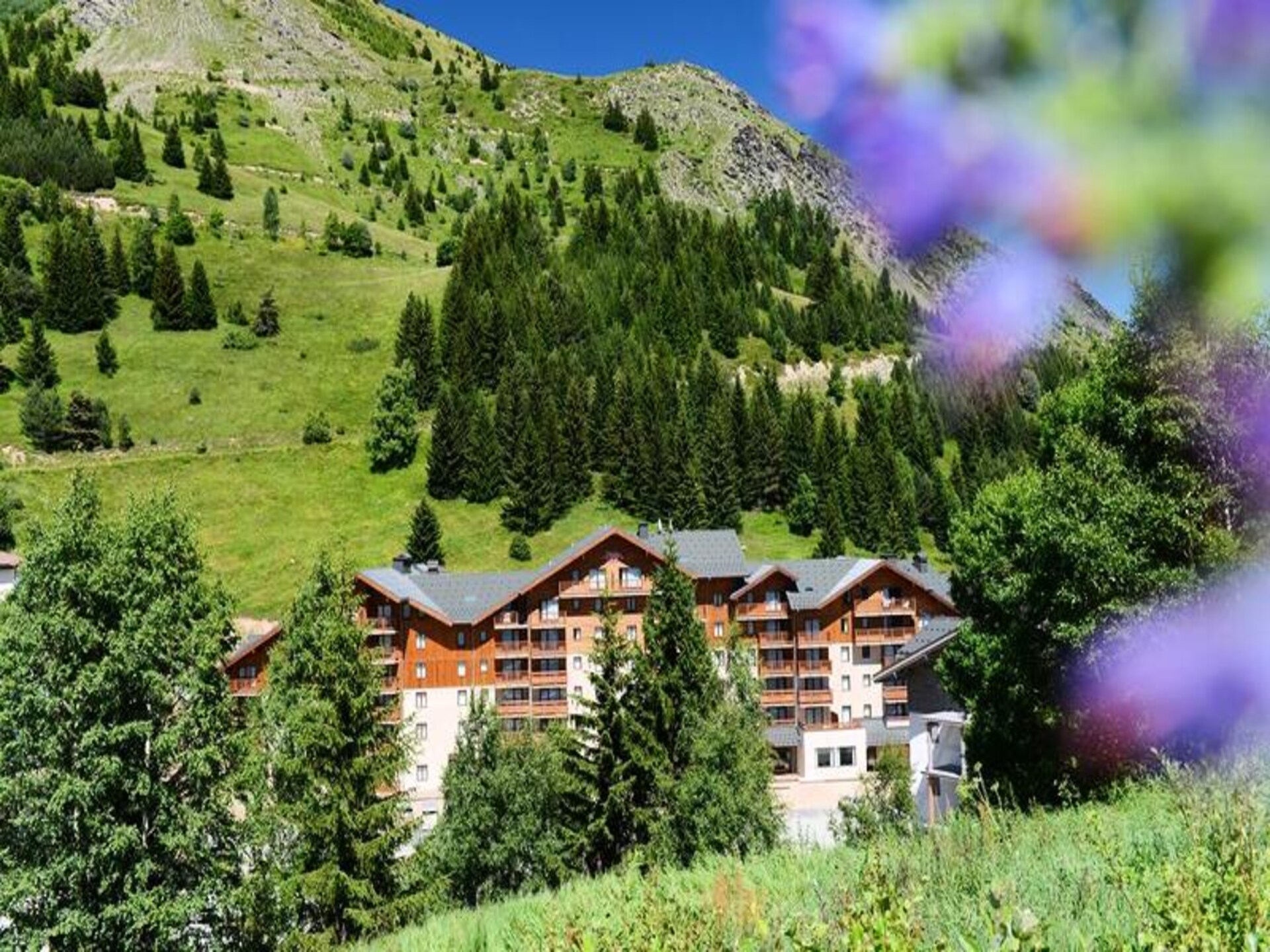 Knus appartement voor 4 personen aan de voet van de pistes in Auris-en-Oisans - foto 2