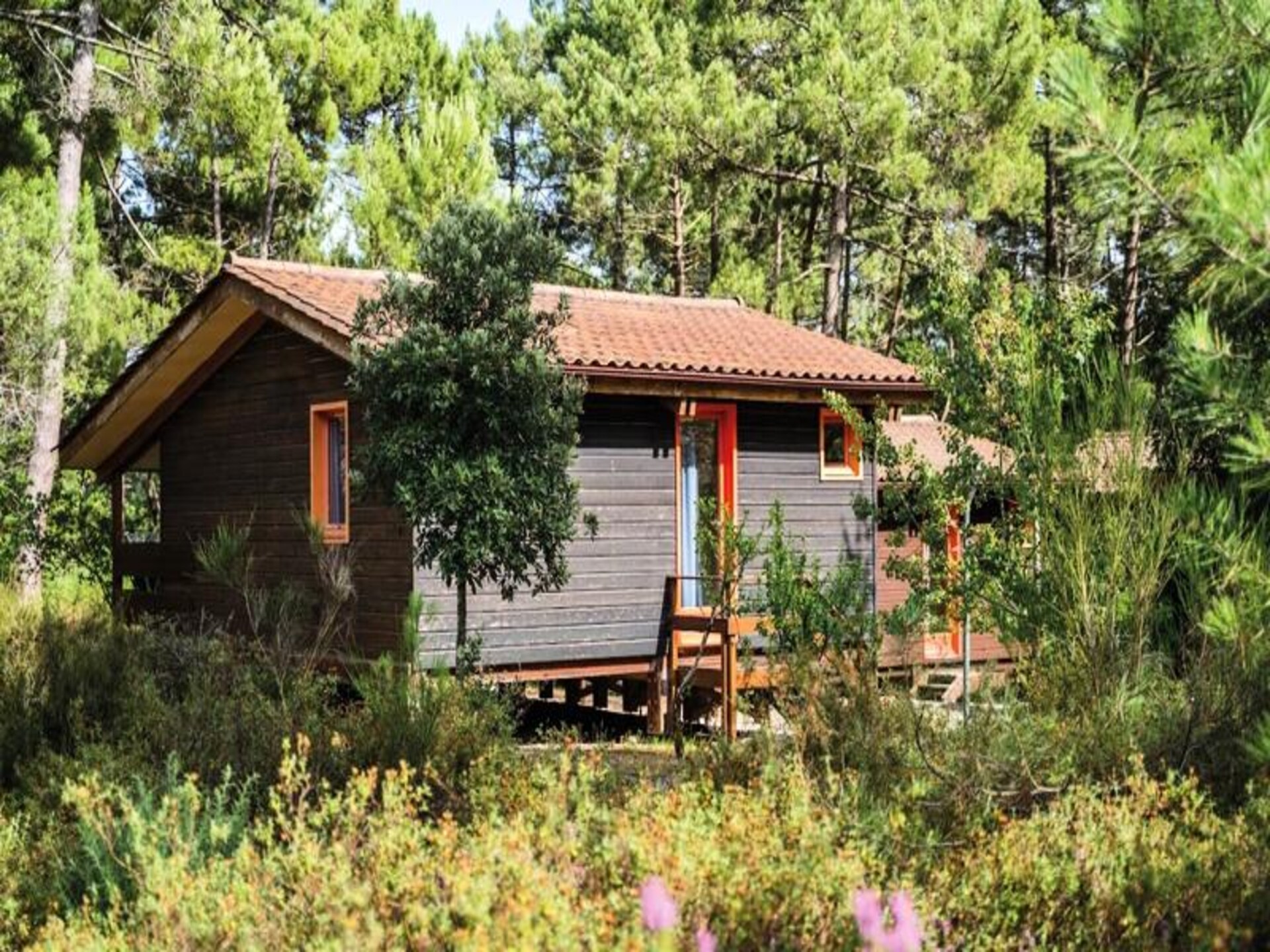Rustiek appartement voor 6 in het bos bij Lac de Carcans, vlakbij oceaan - foto 12