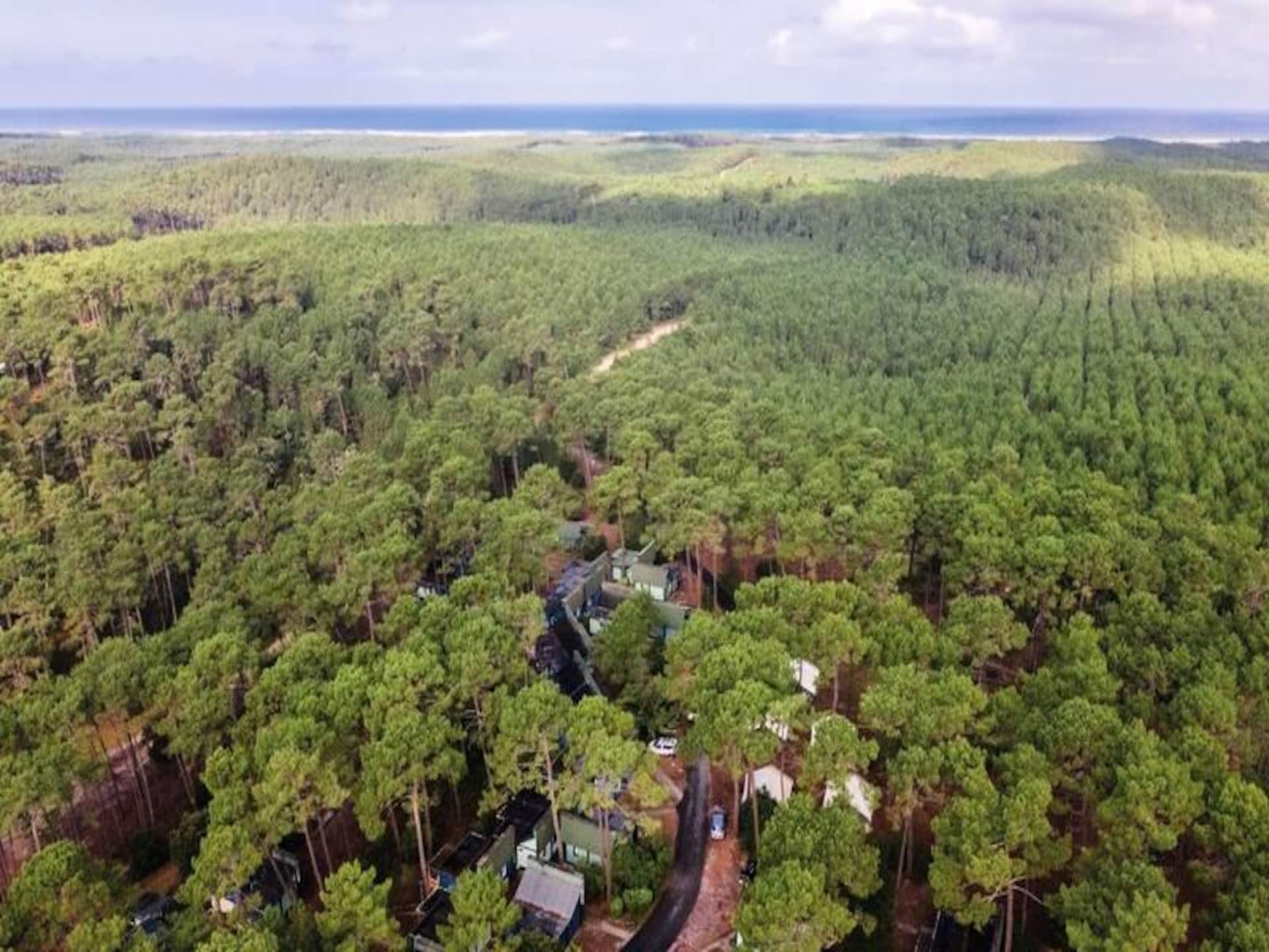 Résidence Domaine Les Cavales - foto 11