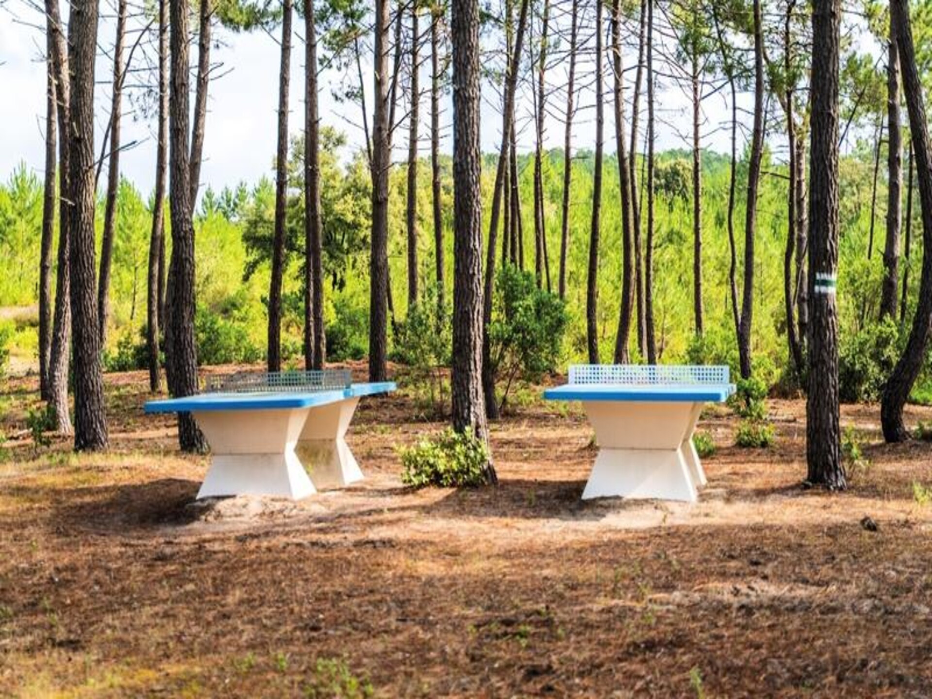 Résidence Domaine Les Cavales - foto 13