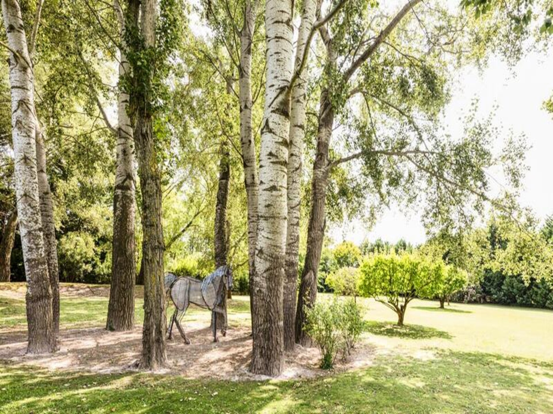 Authentiek familiehuis in Provence met 8 slaapkamers, privézwembad en grote tuin - foto 12