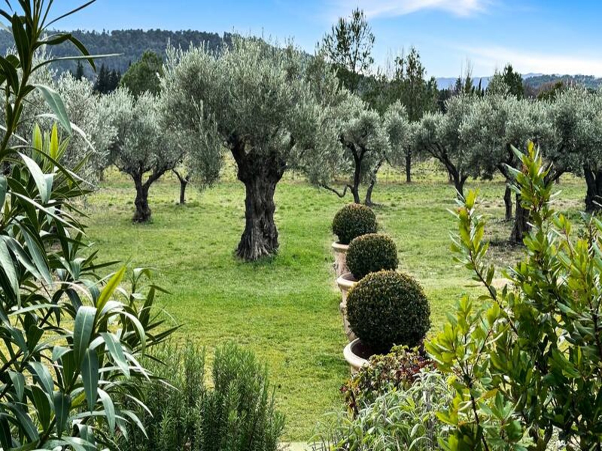 Stijlvol appartement met privéterras in het hart van Lourmarin - foto 16