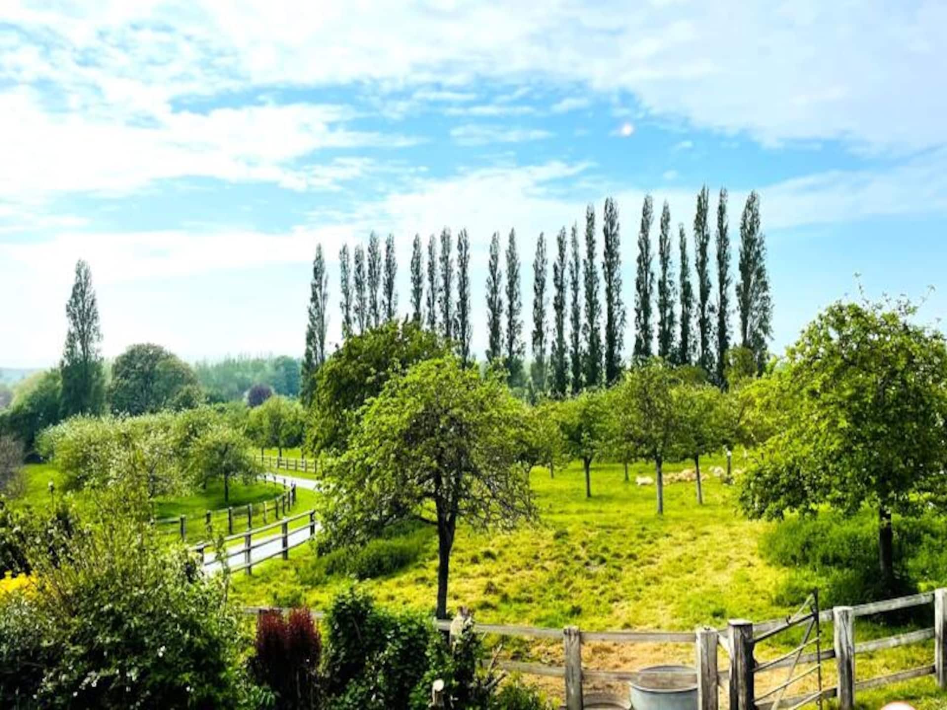 La Hulotte: Ruim appartement voor 6 in de Normandische campagne bij Pennedepie - foto 31