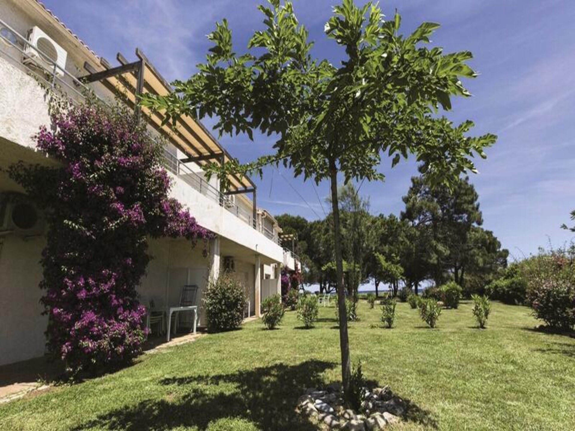 Appartement Résidence Odalys Acqua Bella, 150m van strand in Corsica - foto 15