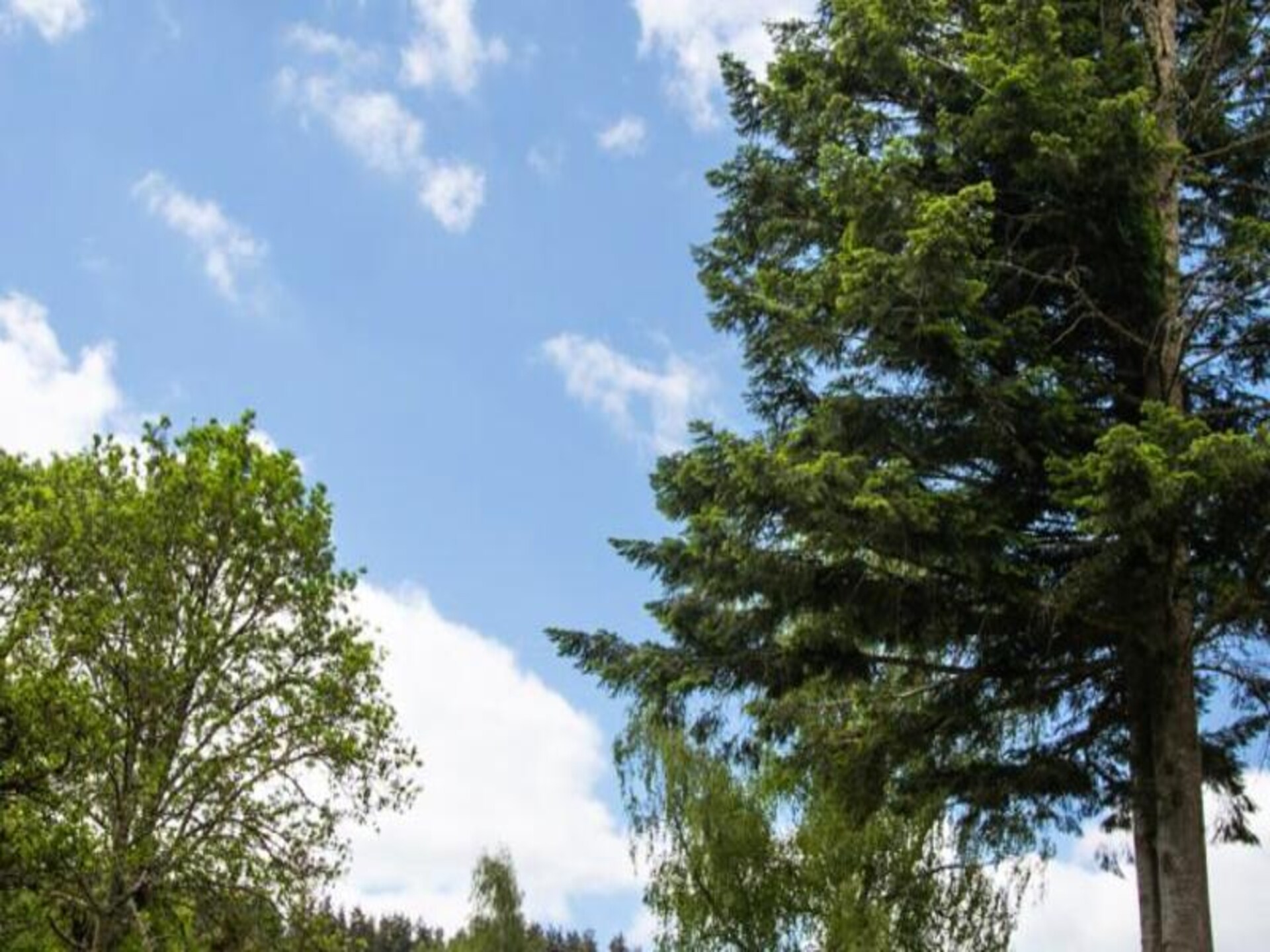 Landhuis op Domaine de Coulagnettes – 10 personen, nabij Saint Amans - foto 45