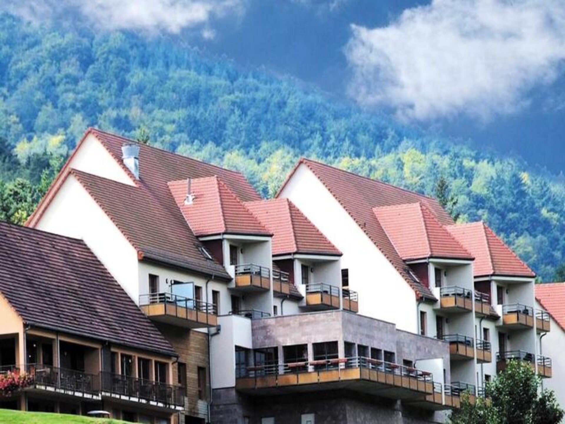 Knus appartement aan de Elzas wijnroute, vlakbij Colmar en Kaysersberg - foto 3