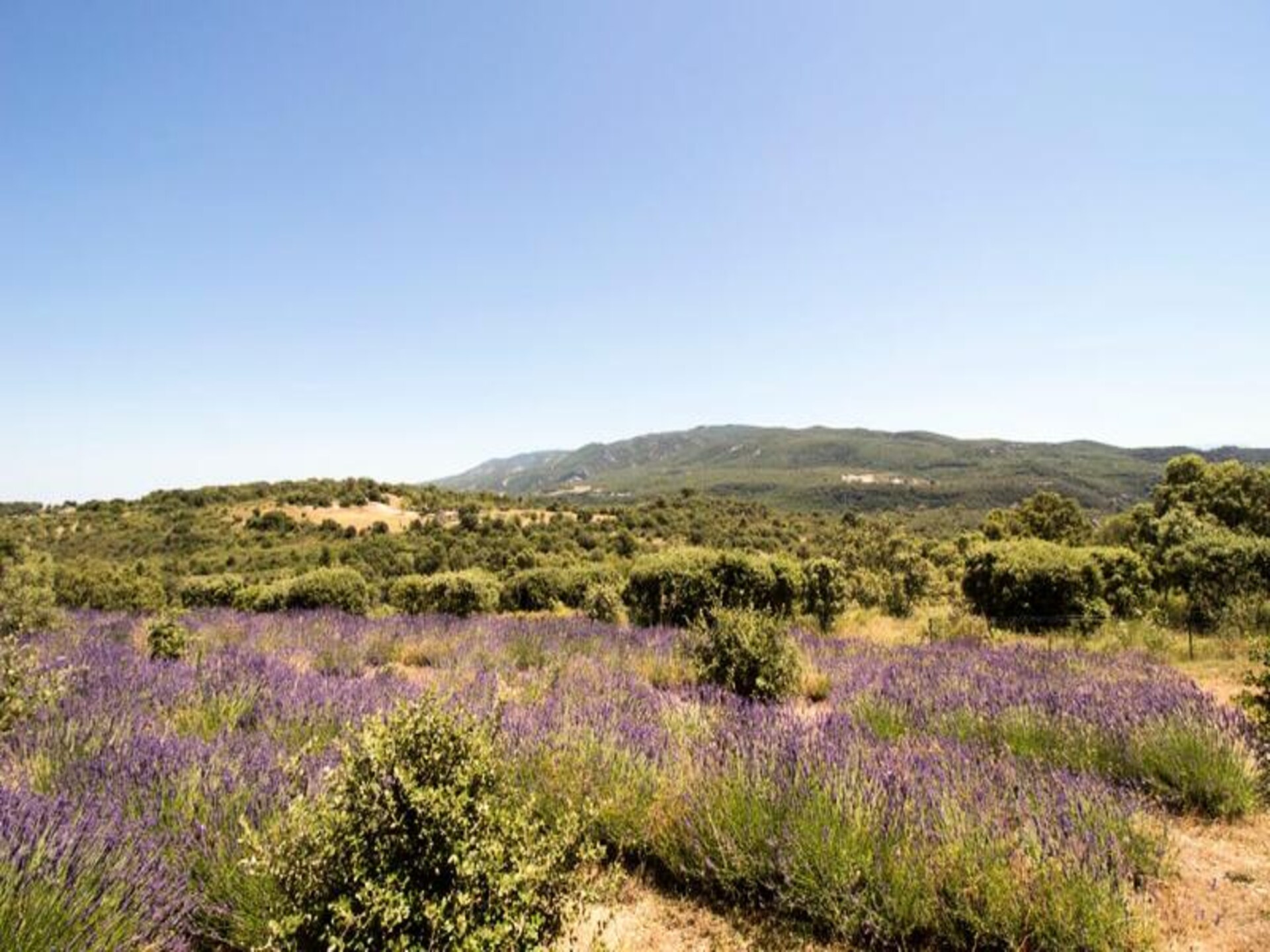 Architectonische villa met verwarmd zwembad en Luberon-panorama bij Bonnieux - foto 29