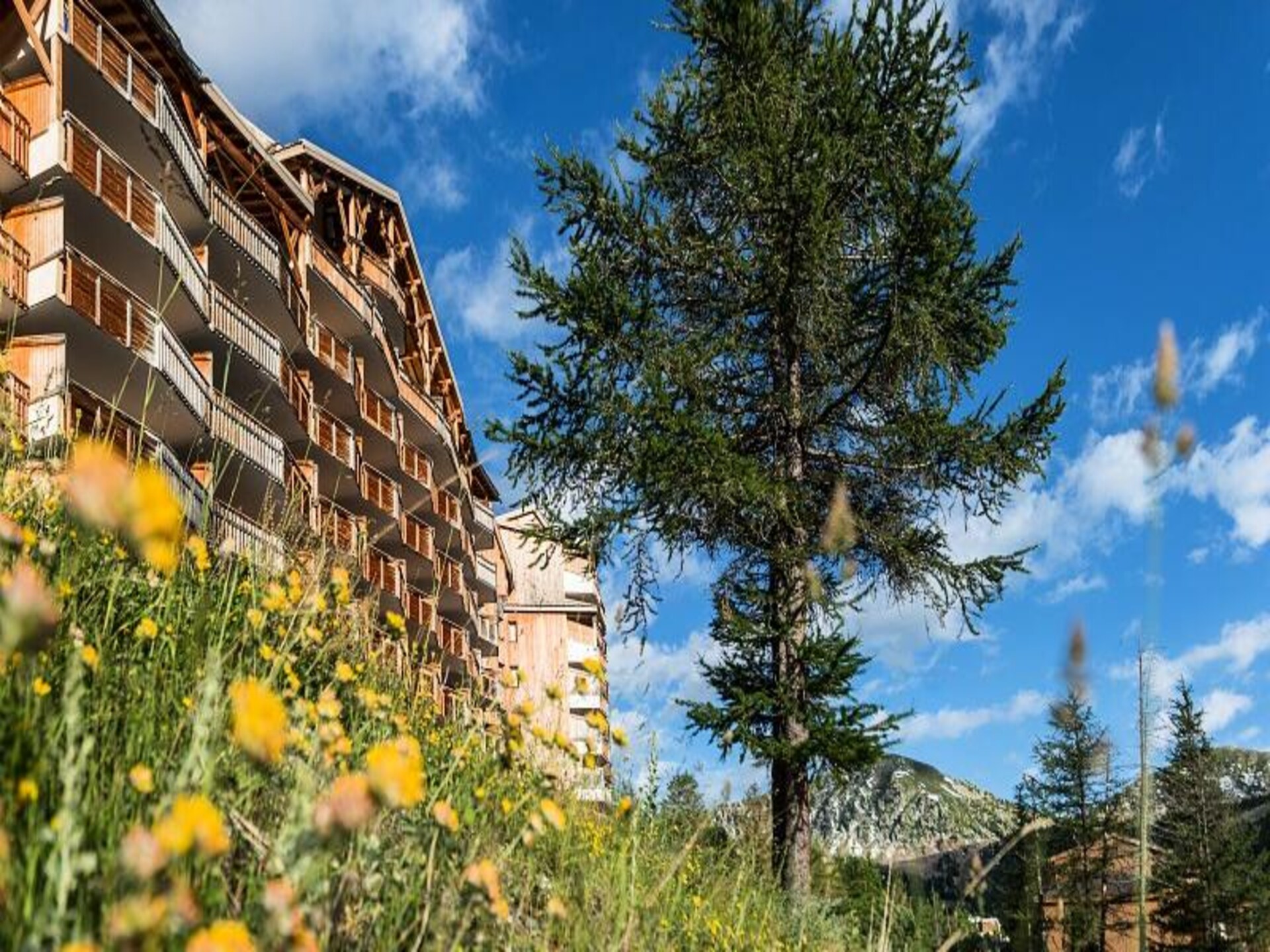 Knus appartement 4p aan de piste in Isola 2000 met uitzicht op Mercantour - foto 3