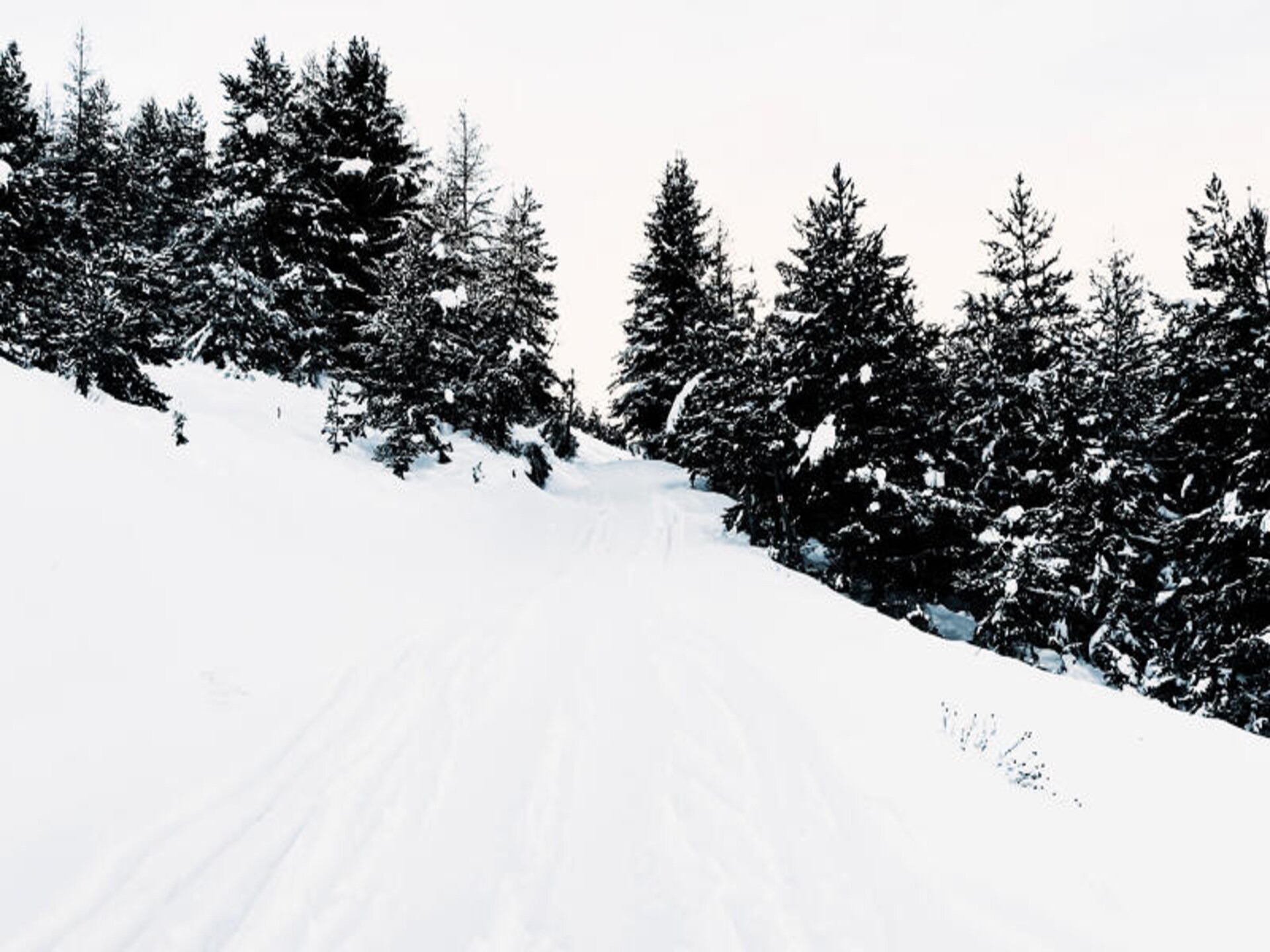 Knus appartement op 600m van de piste in La Joue du Loup - foto 29