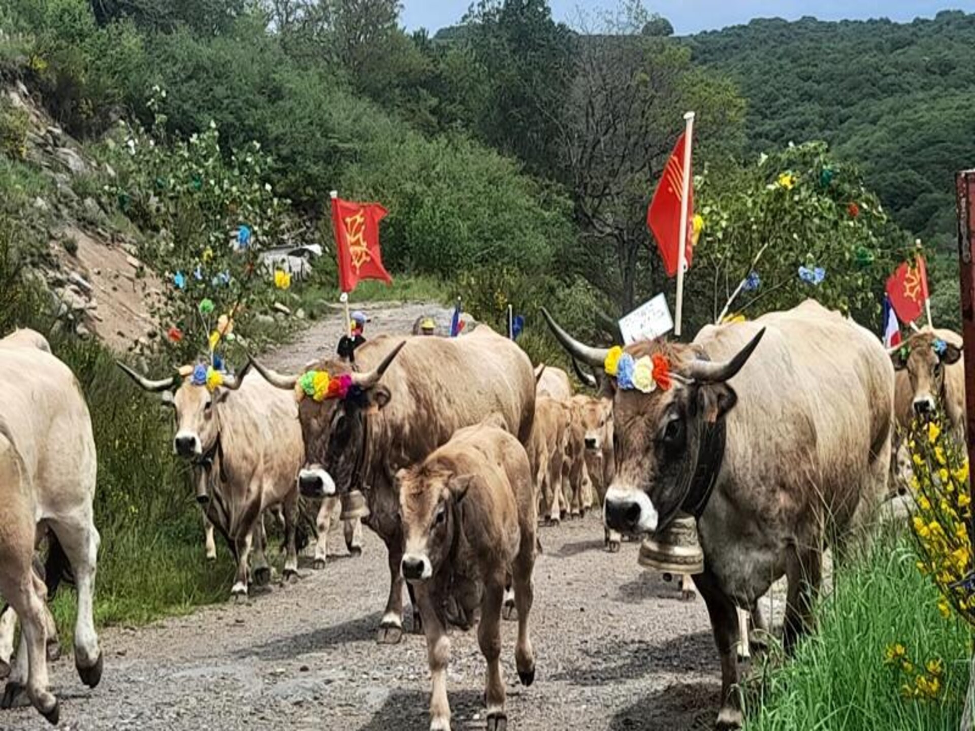 Ruim appartement voor 12 personen in Les Hermaux op de Aubrac - foto 55