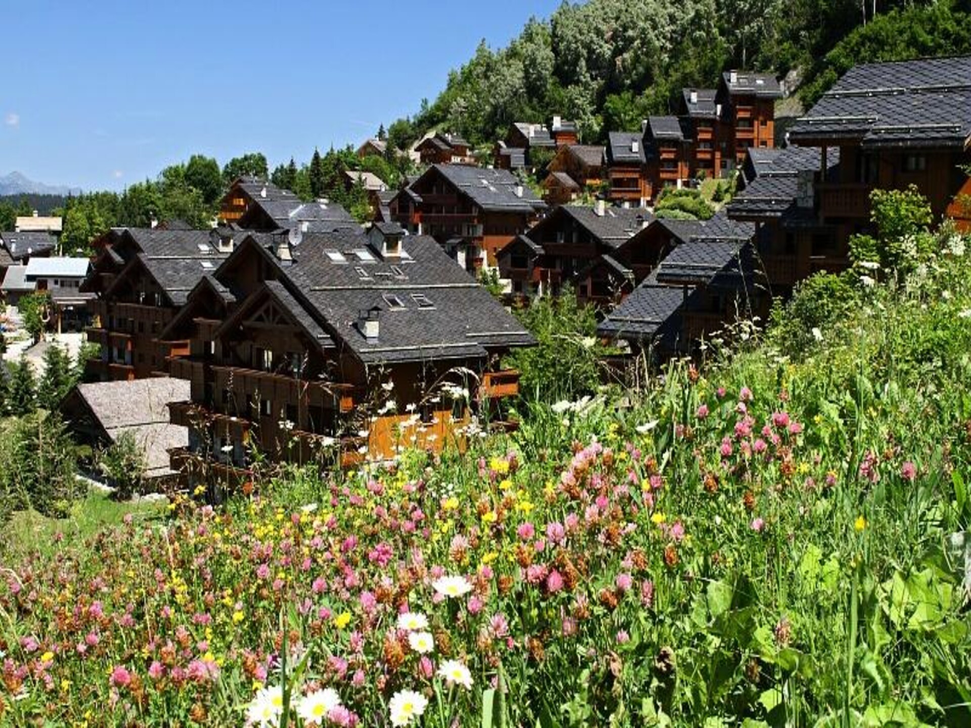 Authentiek appartement voor 6 personen in Méribel Village met toegang tot zwembad - foto 13
