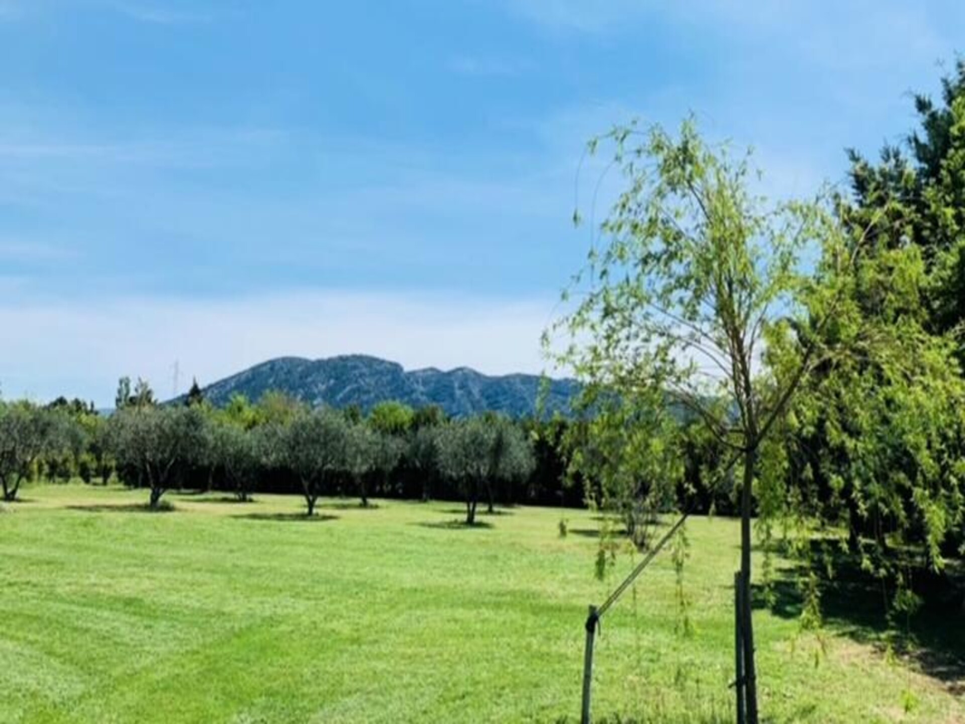 Ruim appartement met privézwembad en panoramisch uitzicht op de Luberon - foto 20