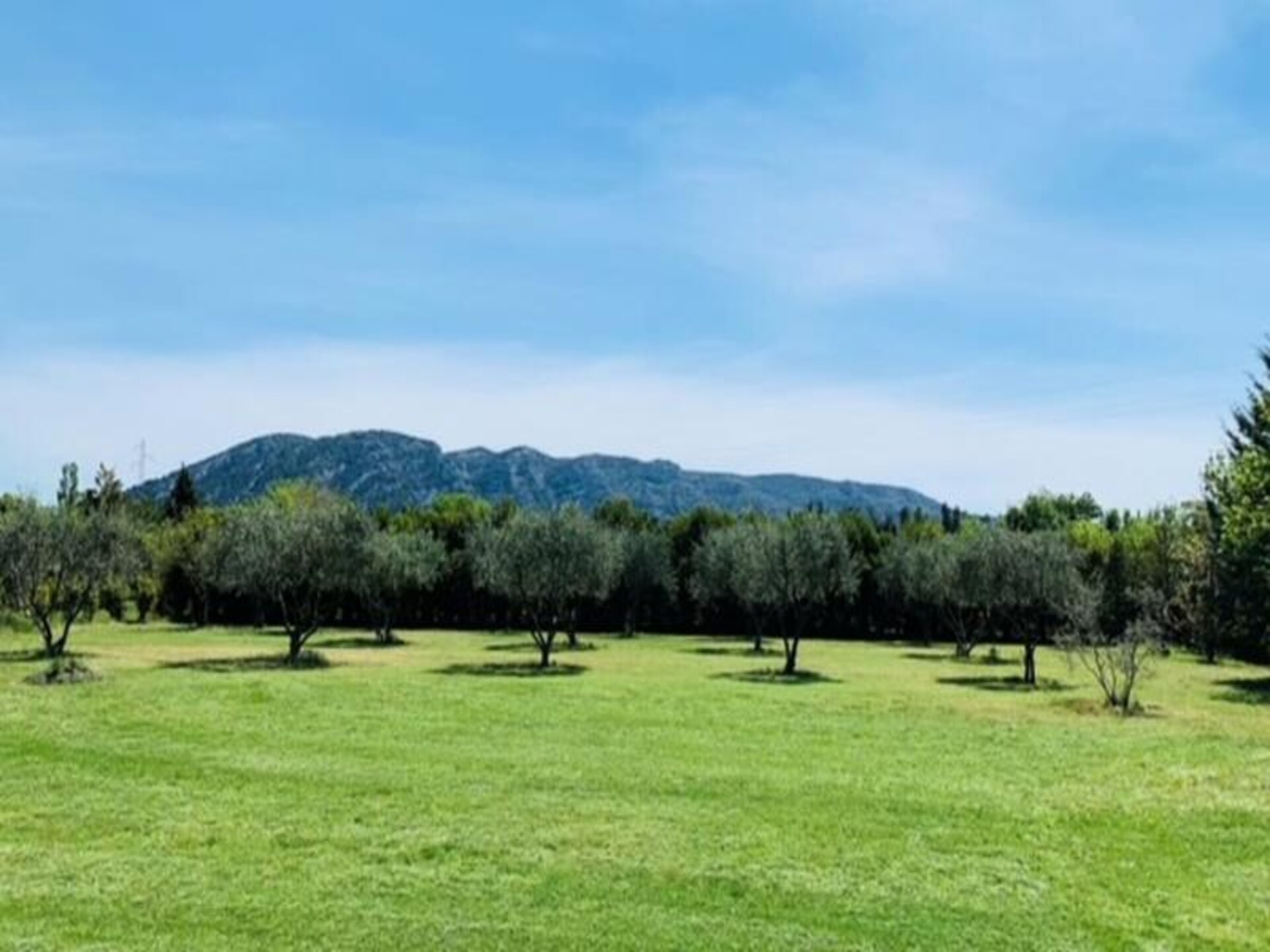 Ruim appartement met privézwembad en panoramisch uitzicht op de Luberon - foto 24