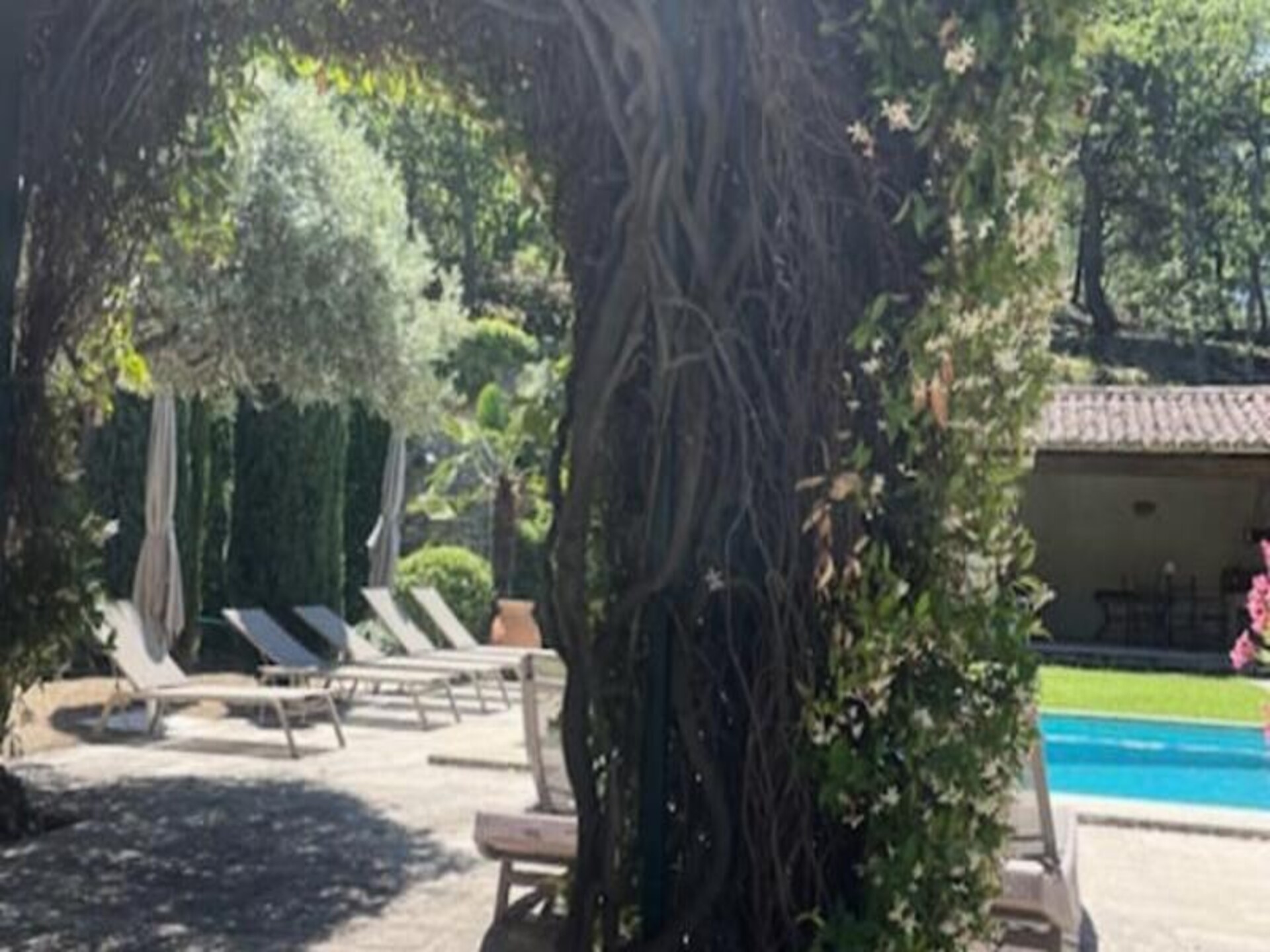 Uitzonderlijk vakantiehuis in Robion met zwembad en olijfgaard, 12 personen - foto 51
