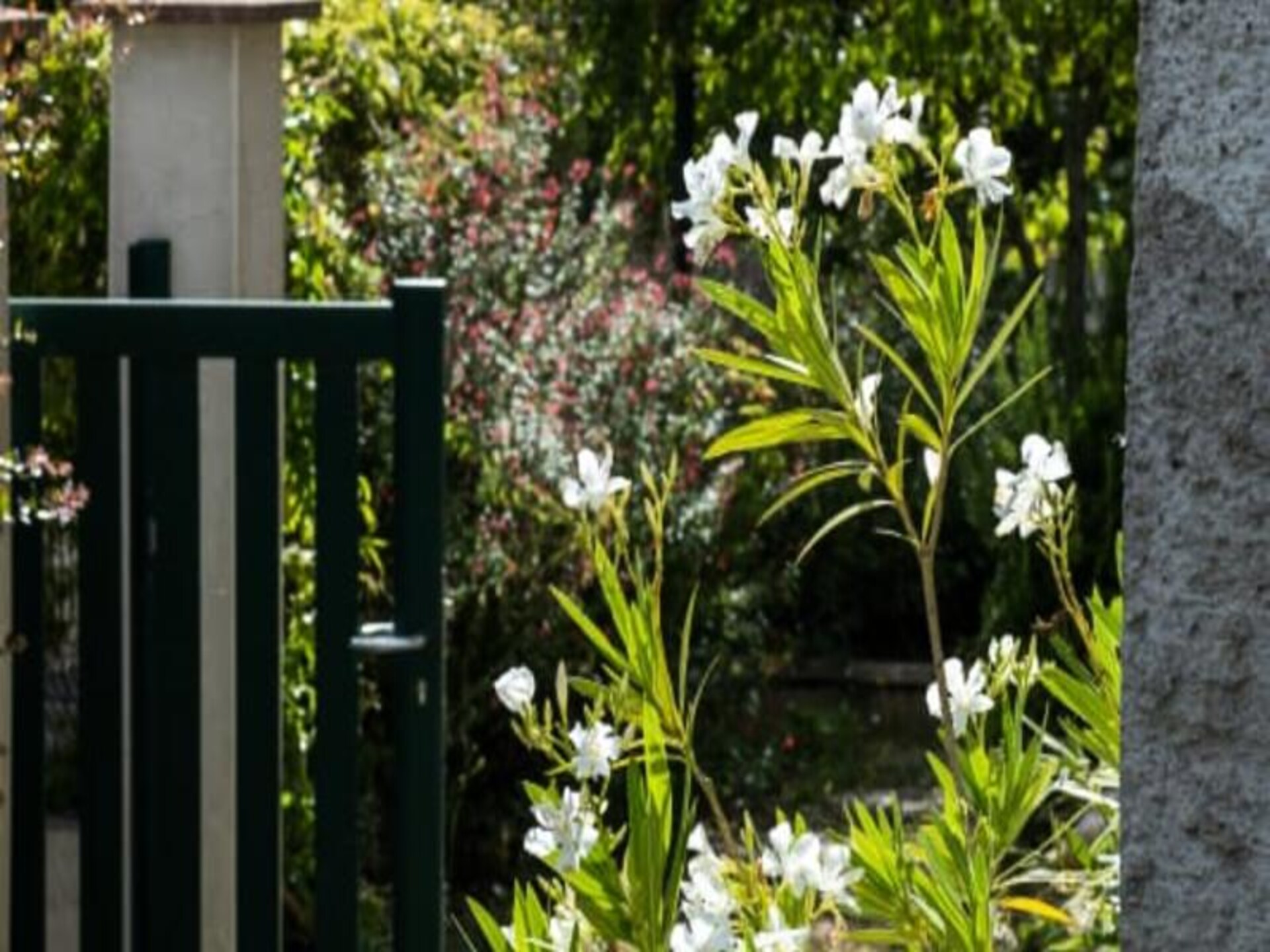 Ruim 8-persoons appartement met tuin vlakbij Tours en de Loire-kastelen - foto 4
