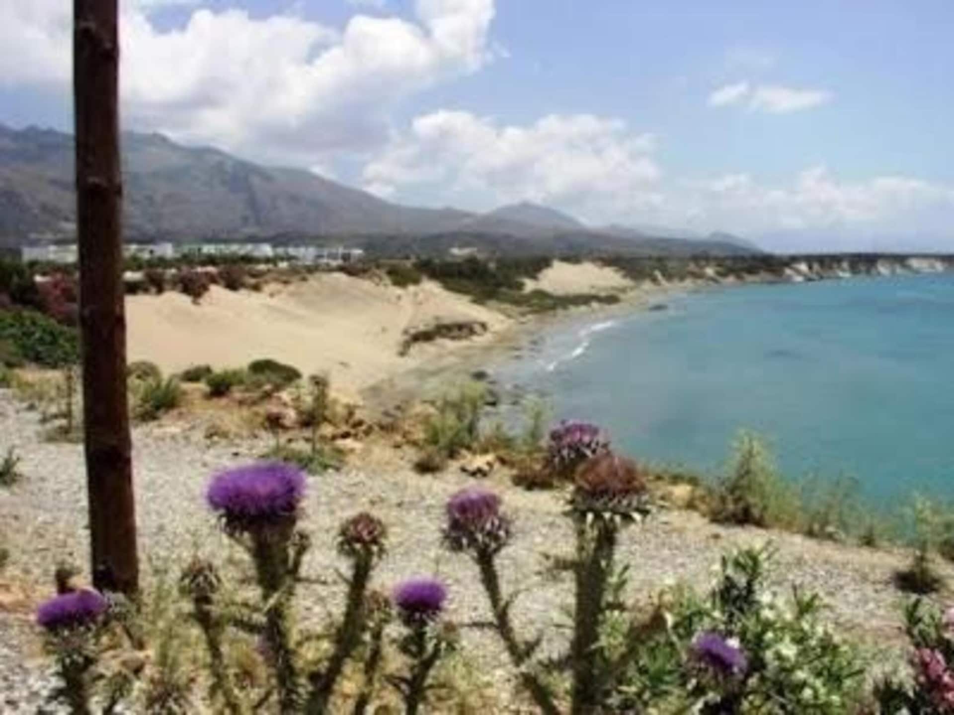 Aan het strand: Modern appartement Mythos apt 2 in Damnoni - foto 25