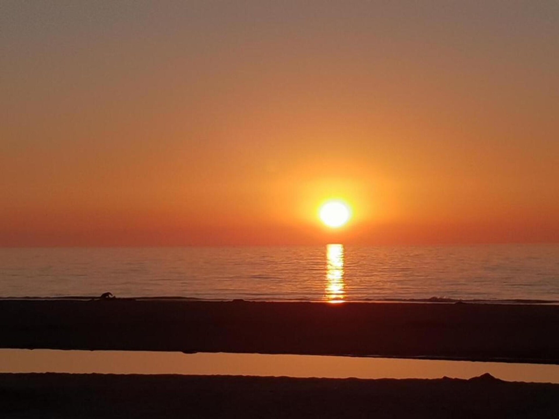 Vrijstaand vakantiehuis voor 6 personen op loopafstand van het strand in Oostkapelle - foto 40
