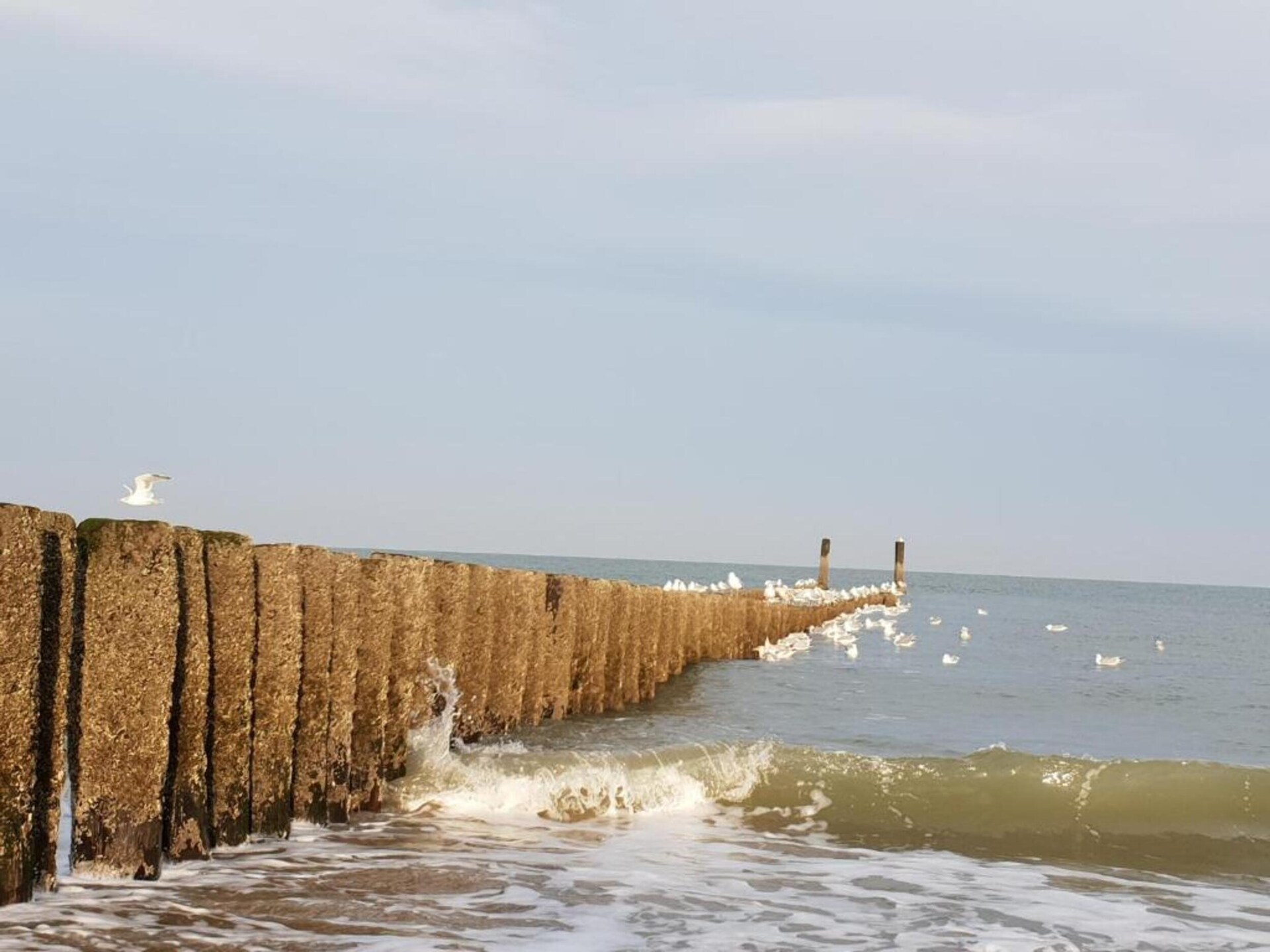 Vrijstaand vakantiehuis voor 6 personen op loopafstand van het strand in Oostkapelle - foto 36