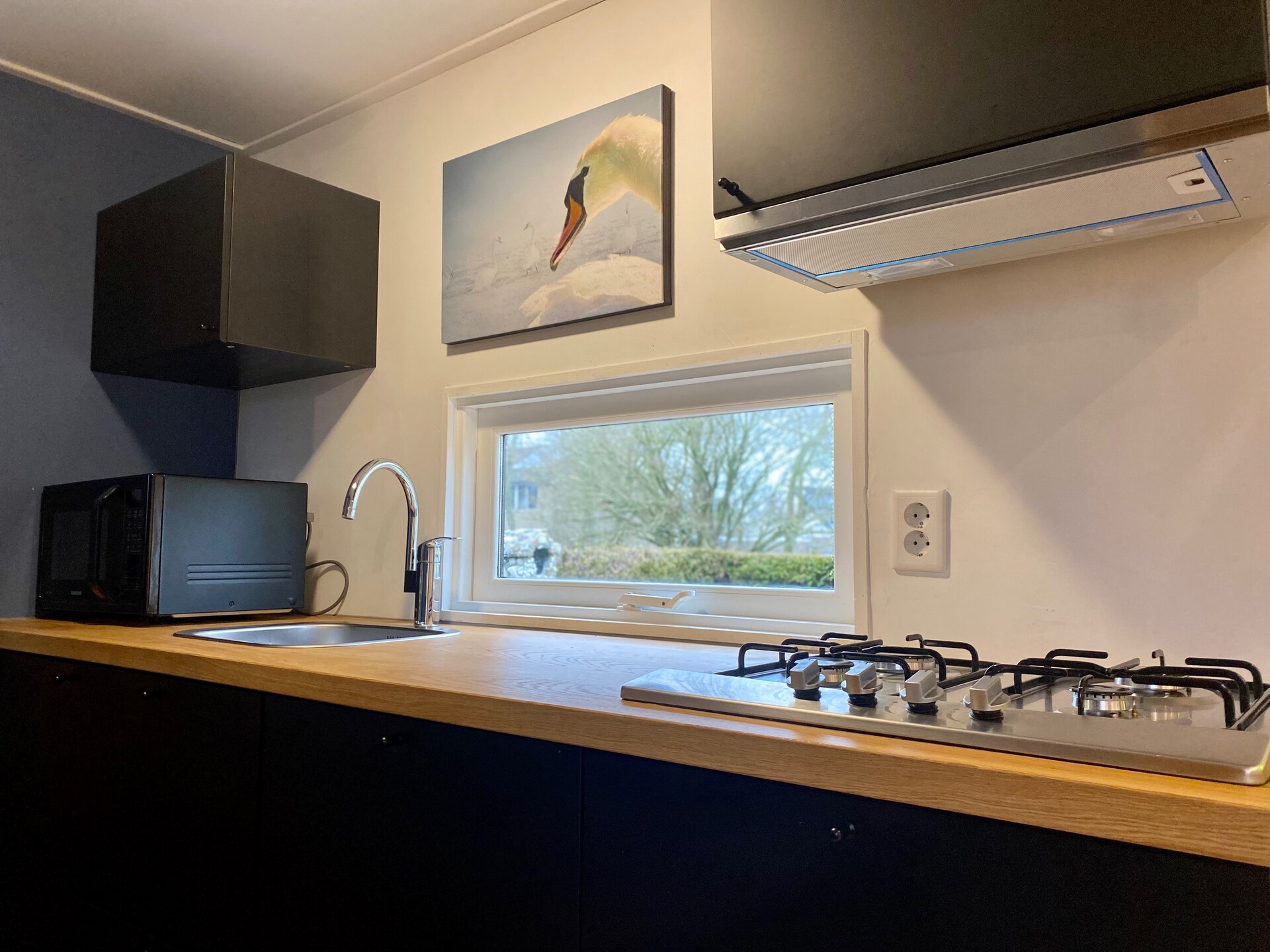 Knus vakantiehuis in Tzummarum met zwembad, tennisbaan en tuin - foto 12