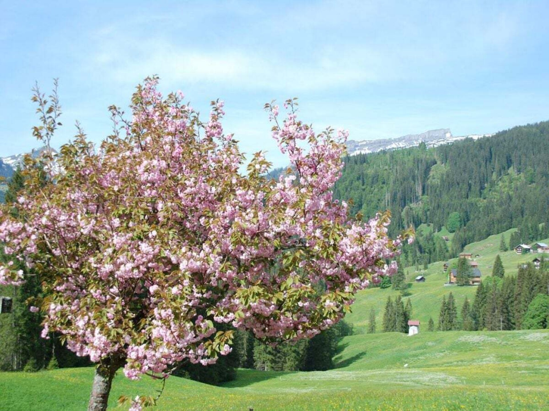 Zonnig appartement met panoramisch uitzicht in Riezlern - foto 29