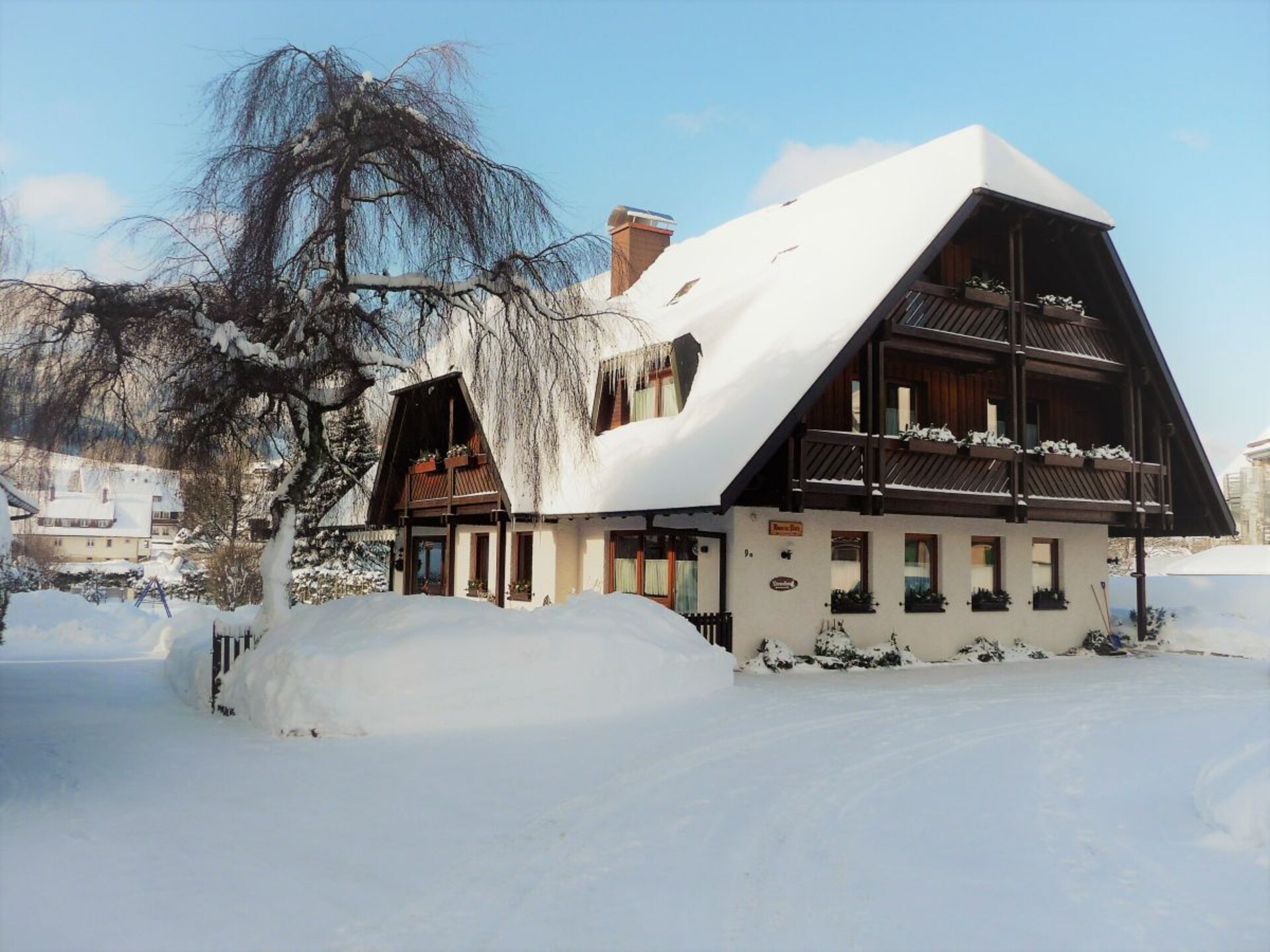 Gerenoveerd appartement in Hinterzarten met panoramisch uitzicht op de bergen - foto 1