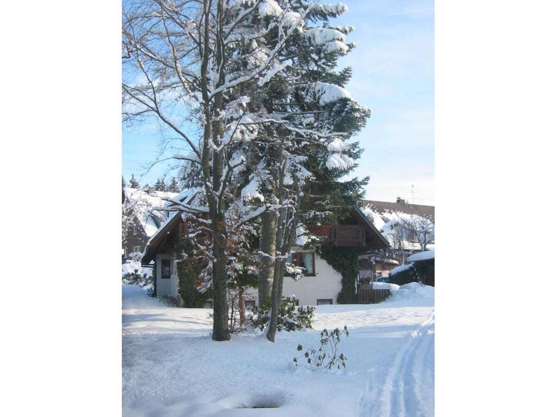 Gerenoveerd appartement in Hinterzarten met panoramisch uitzicht op de bergen - foto 6