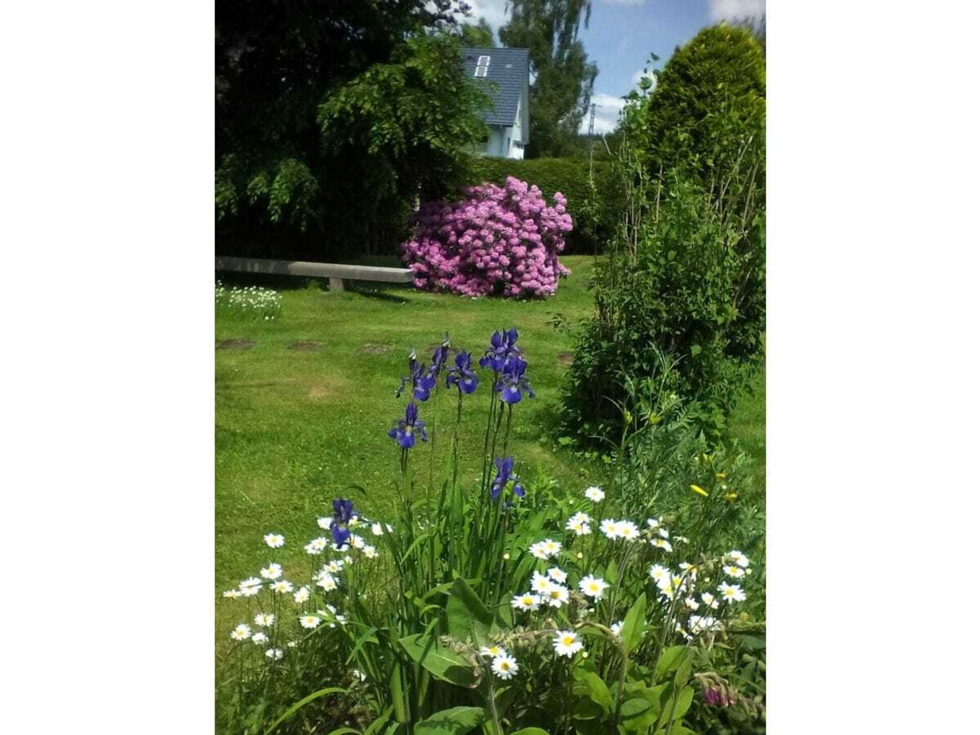 Gerenoveerd appartement in Hinterzarten met panoramisch uitzicht op de bergen - foto 12
