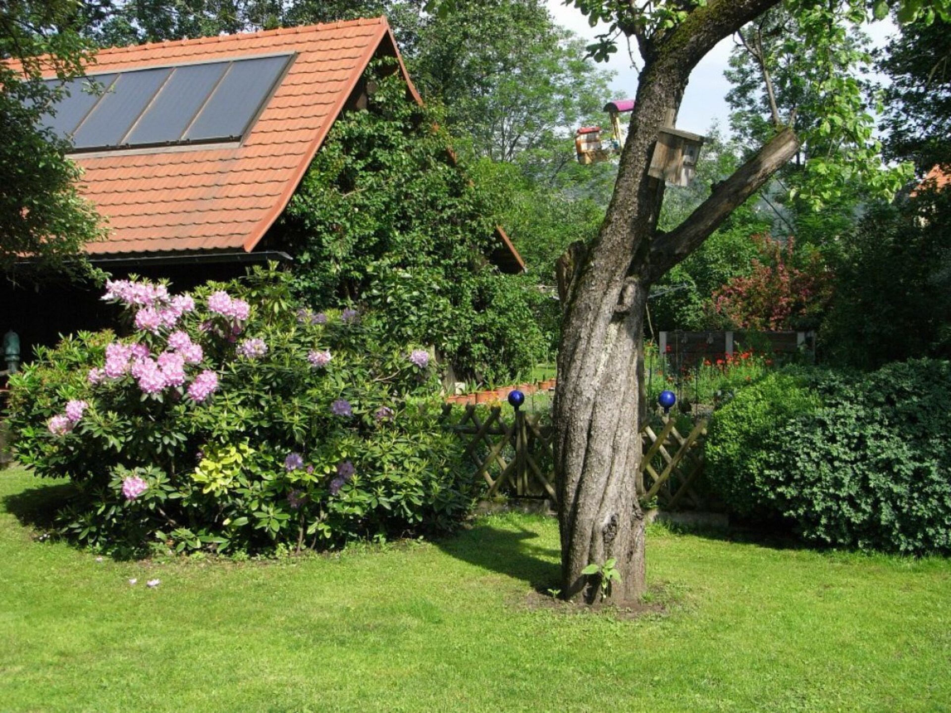 Rolstoelvriendelijk appartement met tuin in Deutschlandsberg - foto 2