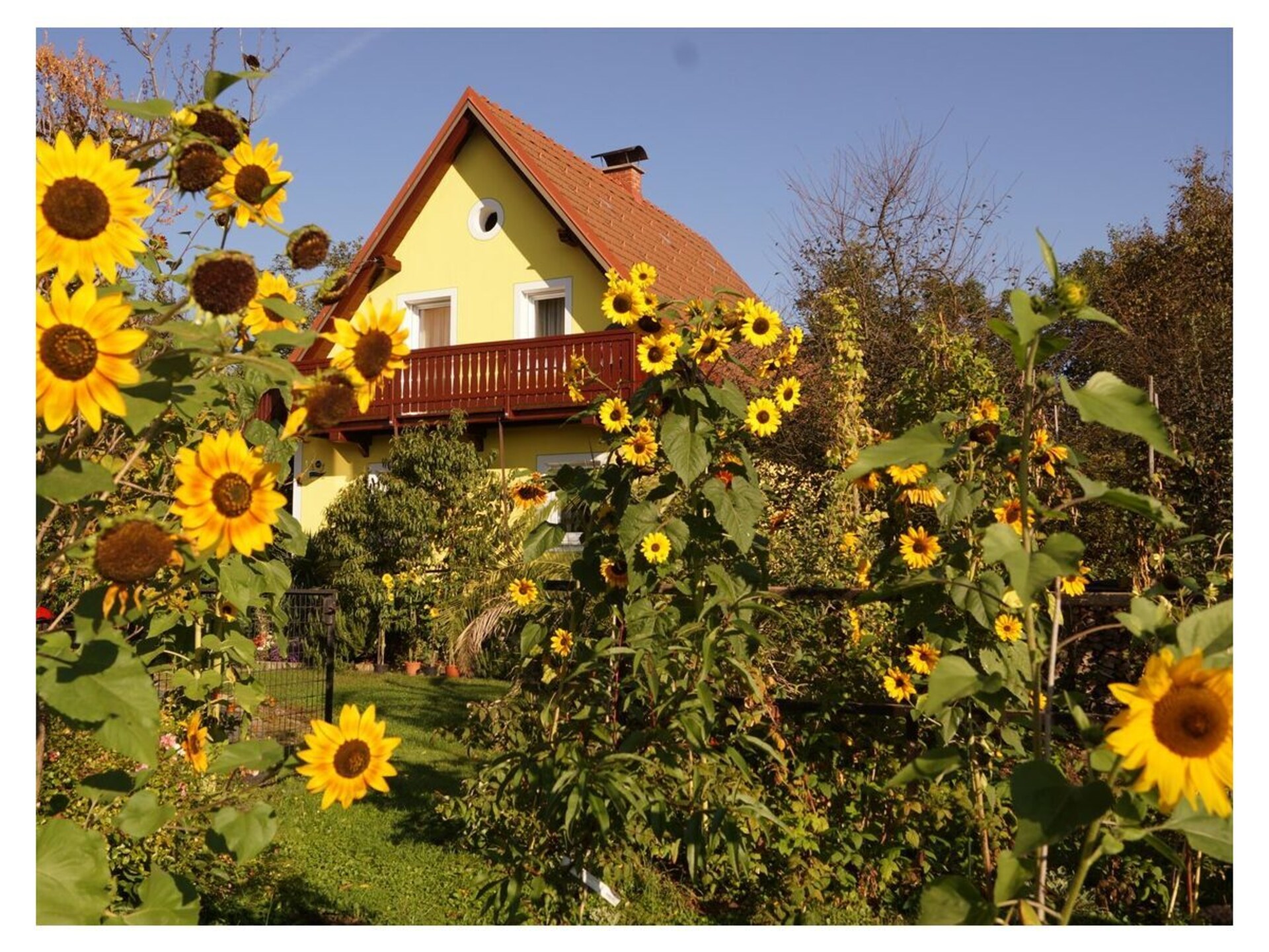 Rolstoelvriendelijk appartement met tuin in Deutschlandsberg - foto 8