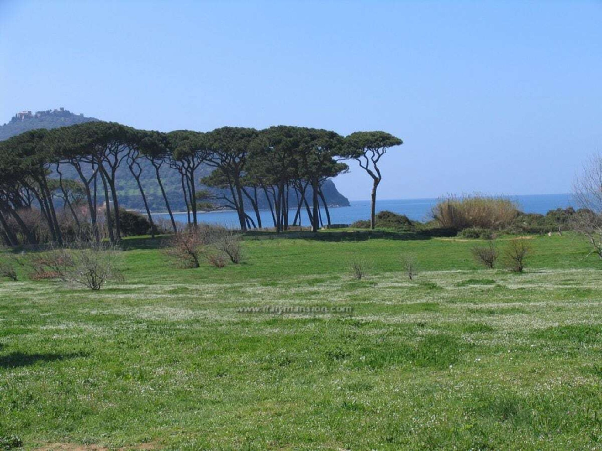 Appartement aan zee met privé-terras en directe strandtoegang in San Vincenzo - foto 18