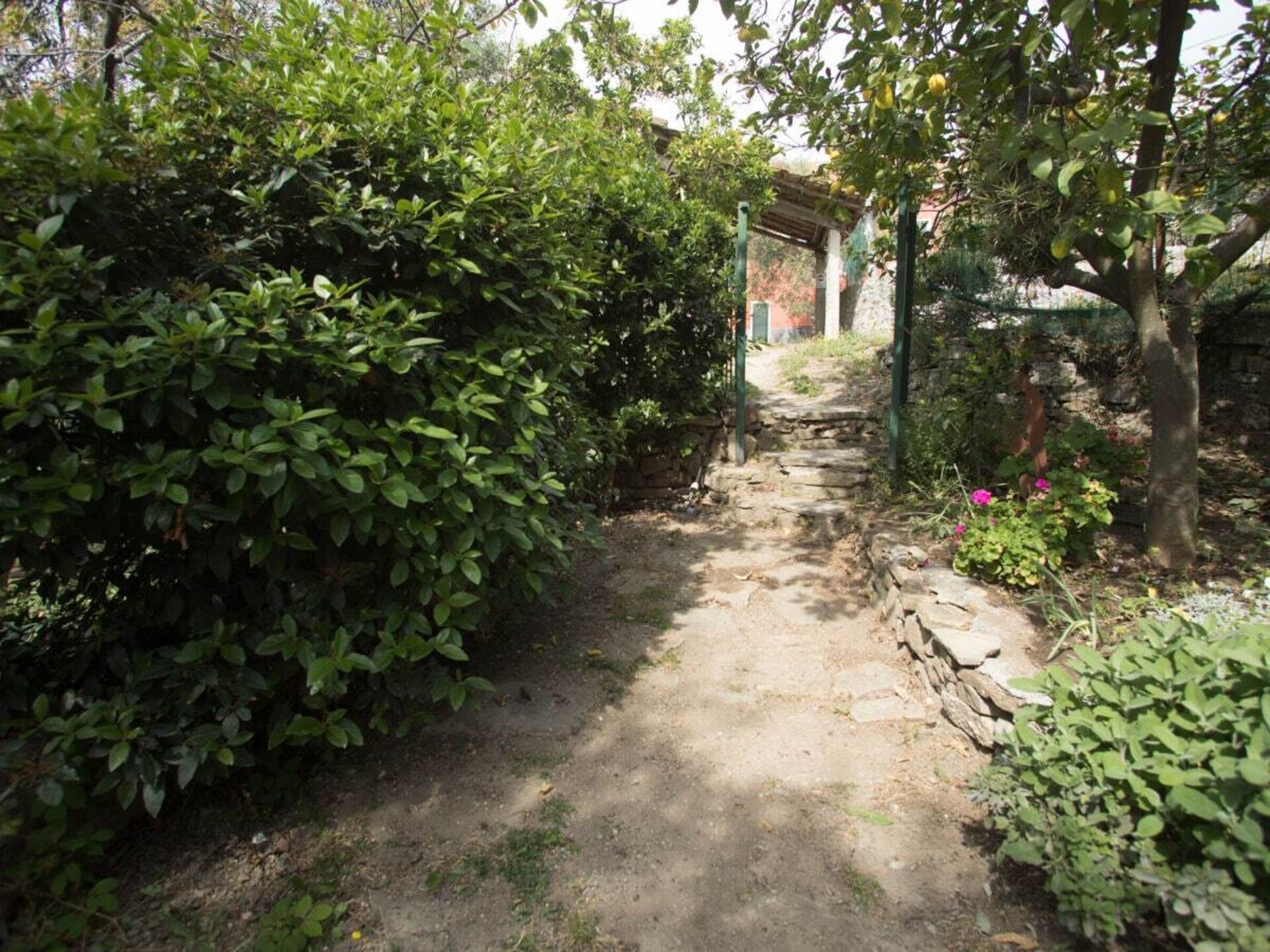 Gerenoveerd 18e-eeuws huis met tuin bij Diano San Pietro - foto 6