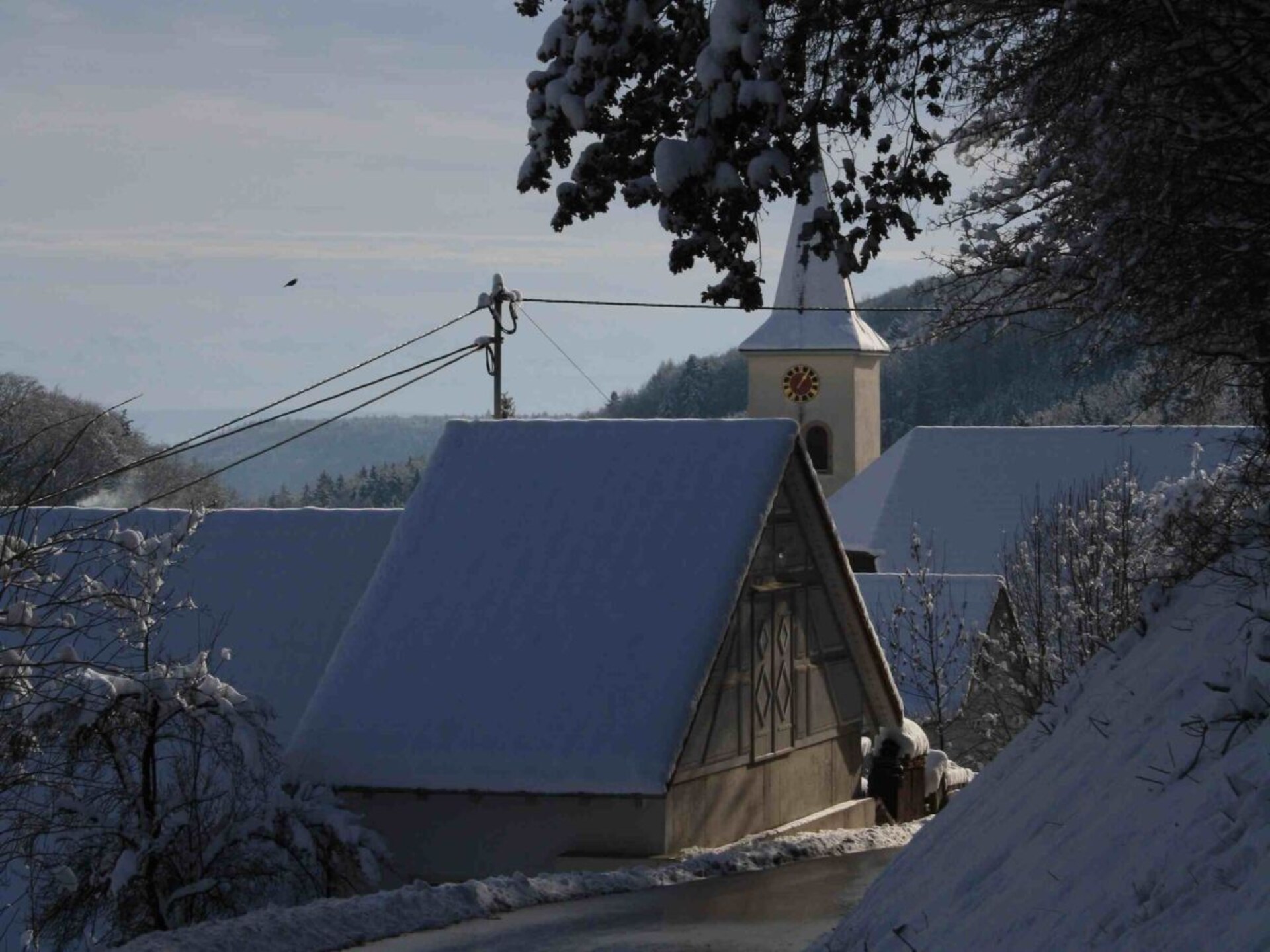 Authentiek vakantiehuis in Wutach met Alpenpanorama en tegelkachel - foto 19