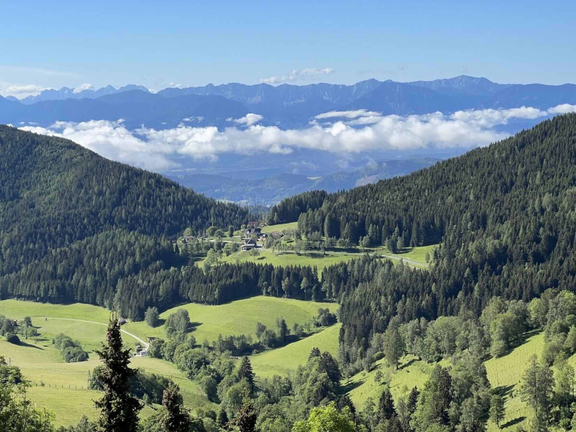 Zonnig vakantiehuis op 1200m met panoramisch uitzicht bij St. Urban - foto 24