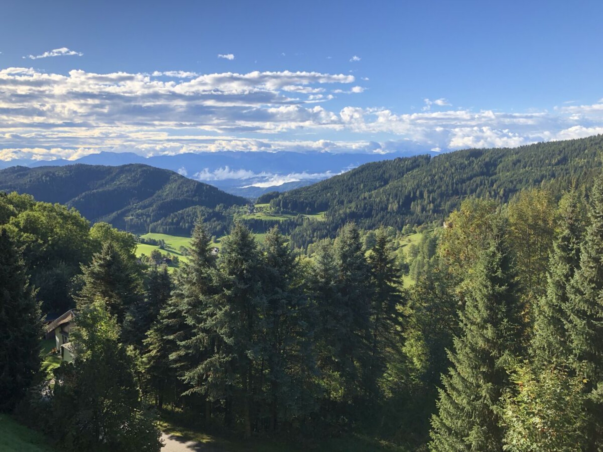 Zonnig vakantiehuis op 1200m met panoramisch uitzicht bij St. Urban - foto 25