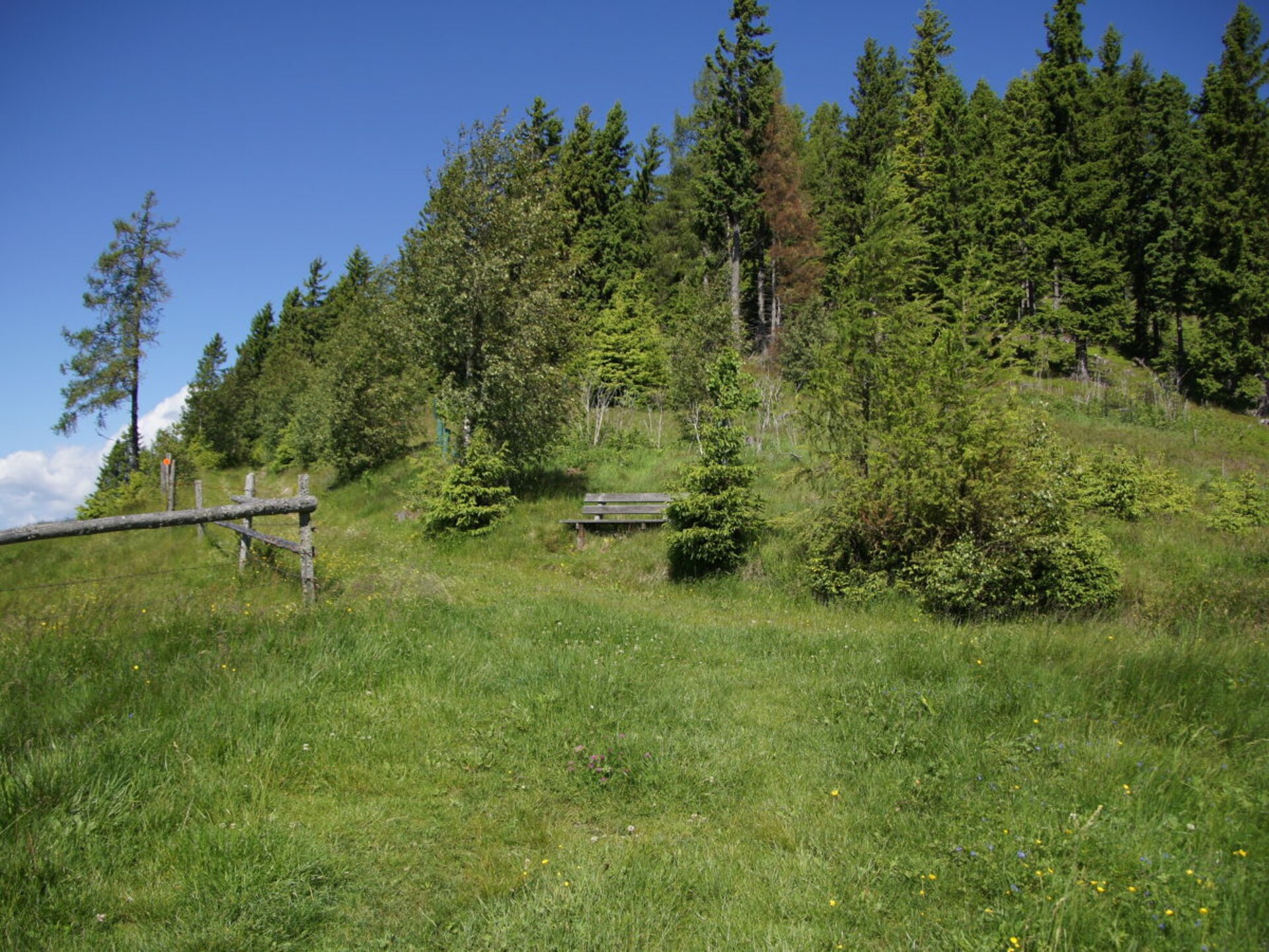 Zonnig vakantiehuis op 1200m met panoramisch uitzicht bij St. Urban - foto 26