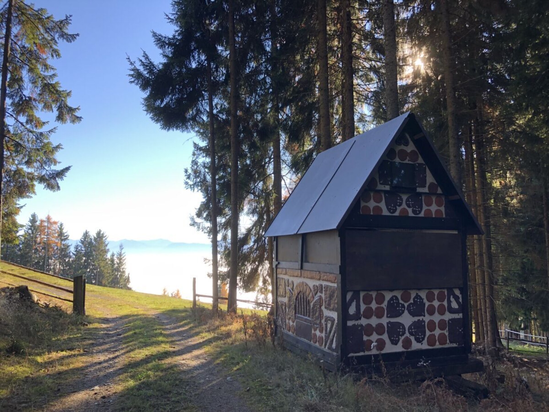 Zonnig vakantiehuis op 1200m met panoramisch uitzicht bij St. Urban - foto 44