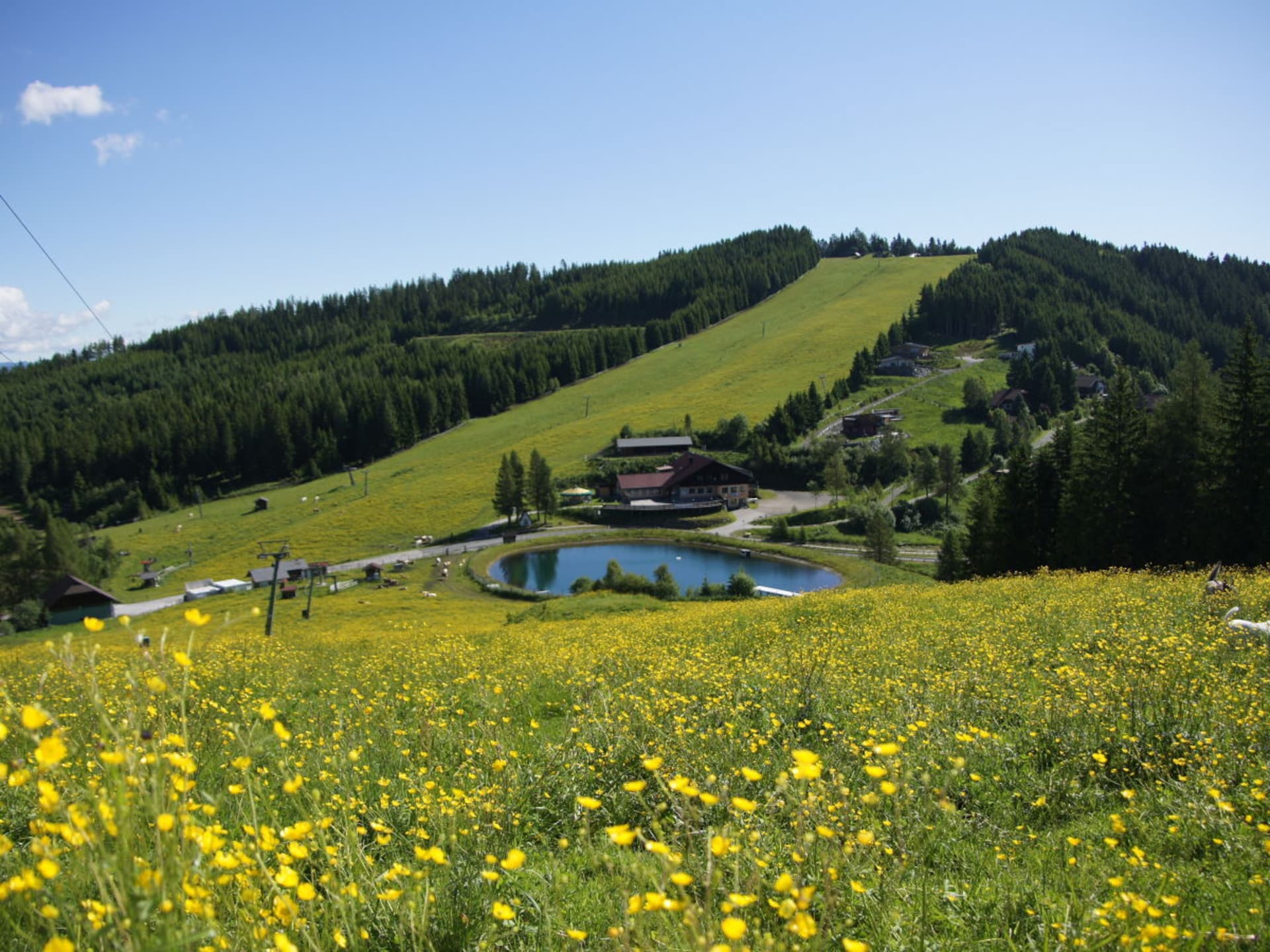 Zonnig vakantiehuis op 1200m met panoramisch bergzicht in St.Urban - foto 29