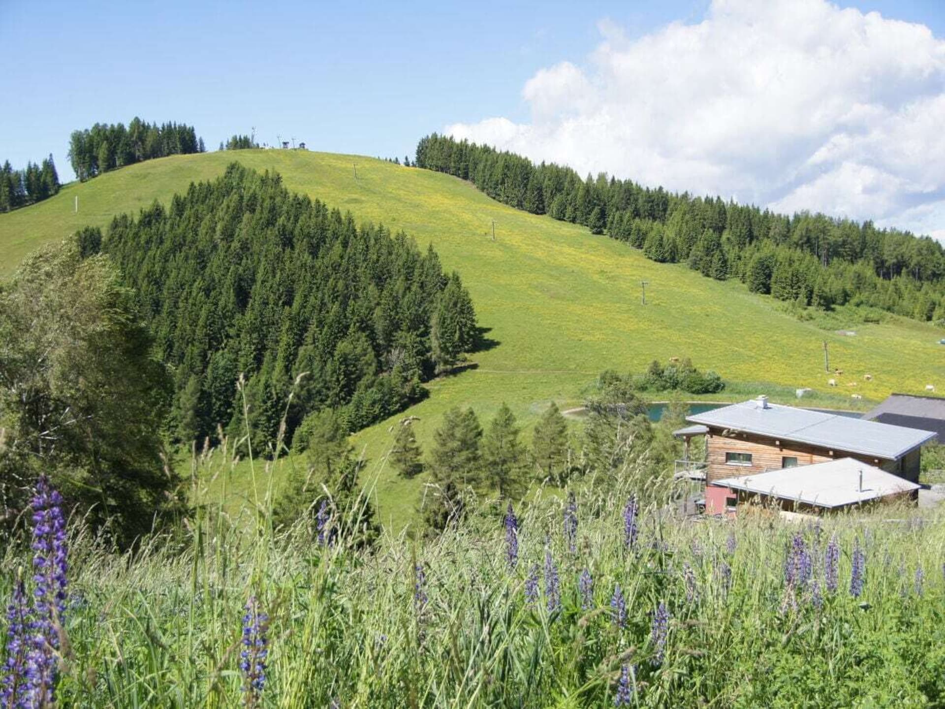 Zonnig vakantiehuis op 1200m met panoramisch bergzicht in St.Urban - foto 32
