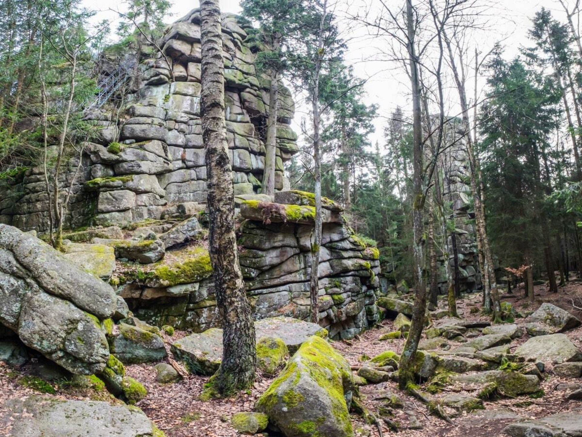 Bergwald Wellness Chalet voor 5 personen in Schierke, Harz - foto 26
